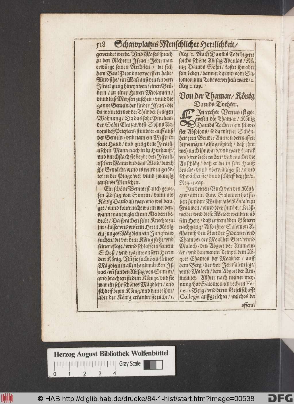 http://diglib.hab.de/drucke/84-1-hist/00538.jpg