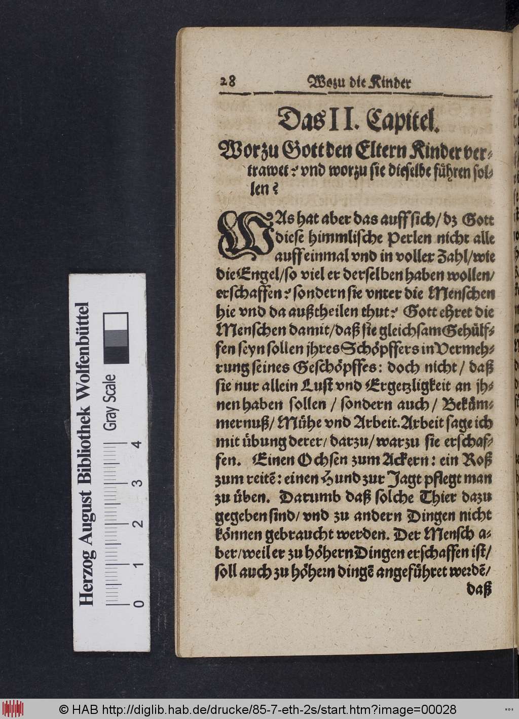 http://diglib.hab.de/drucke/85-7-eth-2s/00028.jpg