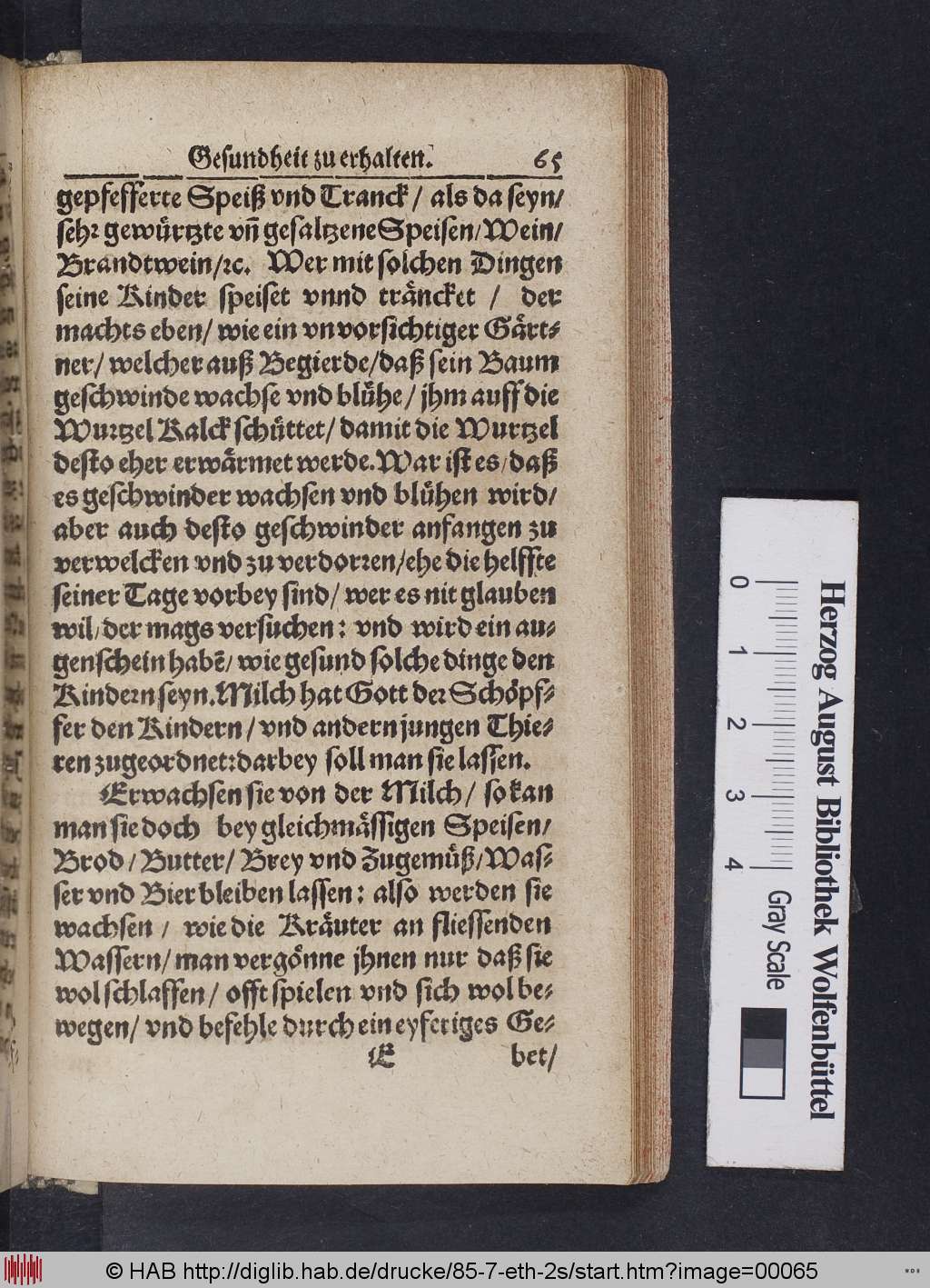 http://diglib.hab.de/drucke/85-7-eth-2s/00065.jpg