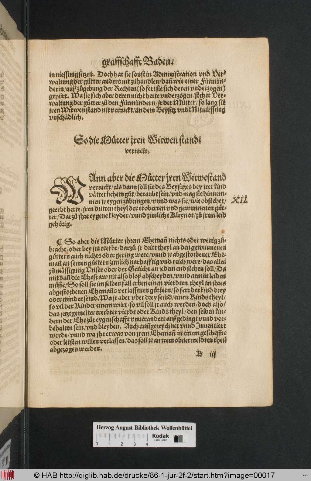 http://diglib.hab.de/drucke/86-1-jur-2f-2/00017.jpg