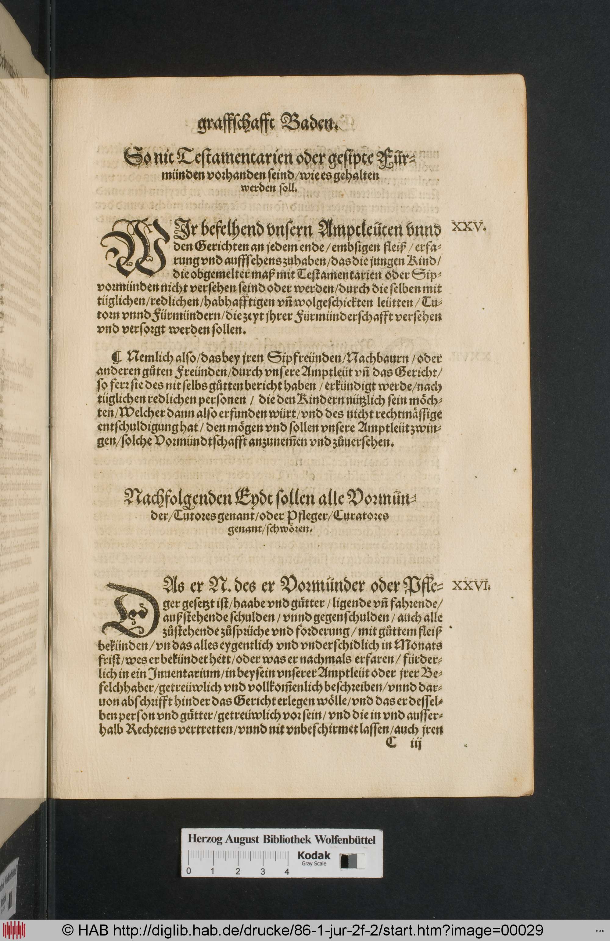 http://diglib.hab.de/drucke/86-1-jur-2f-2/max/00029.jpg