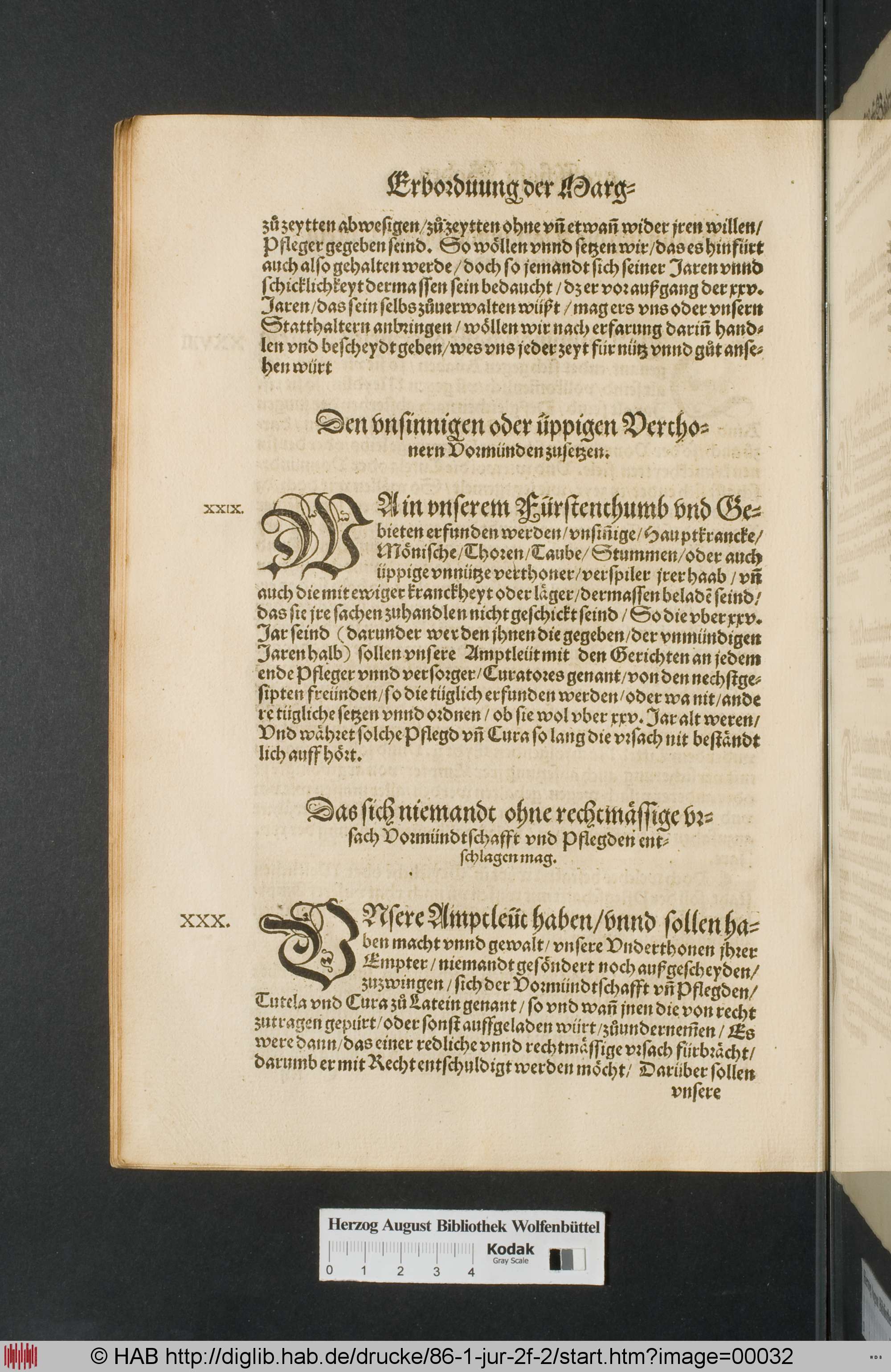 http://diglib.hab.de/drucke/86-1-jur-2f-2/max/00032.jpg