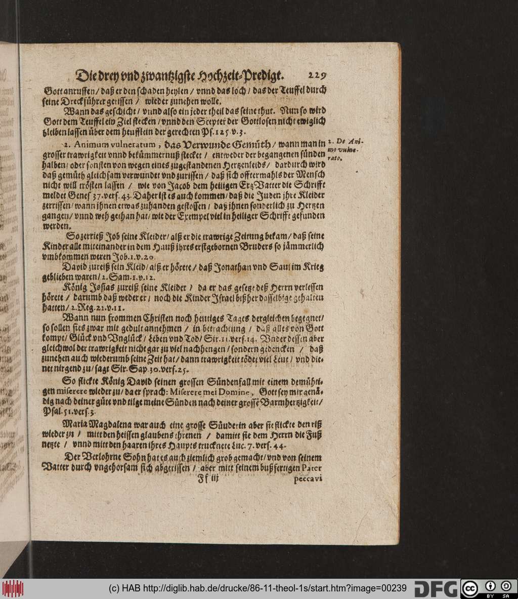 http://diglib.hab.de/drucke/86-11-theol-1s/00239.jpg