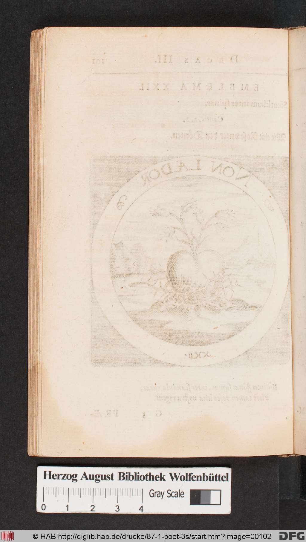 http://diglib.hab.de/drucke/87-1-poet-3s/00102.jpg