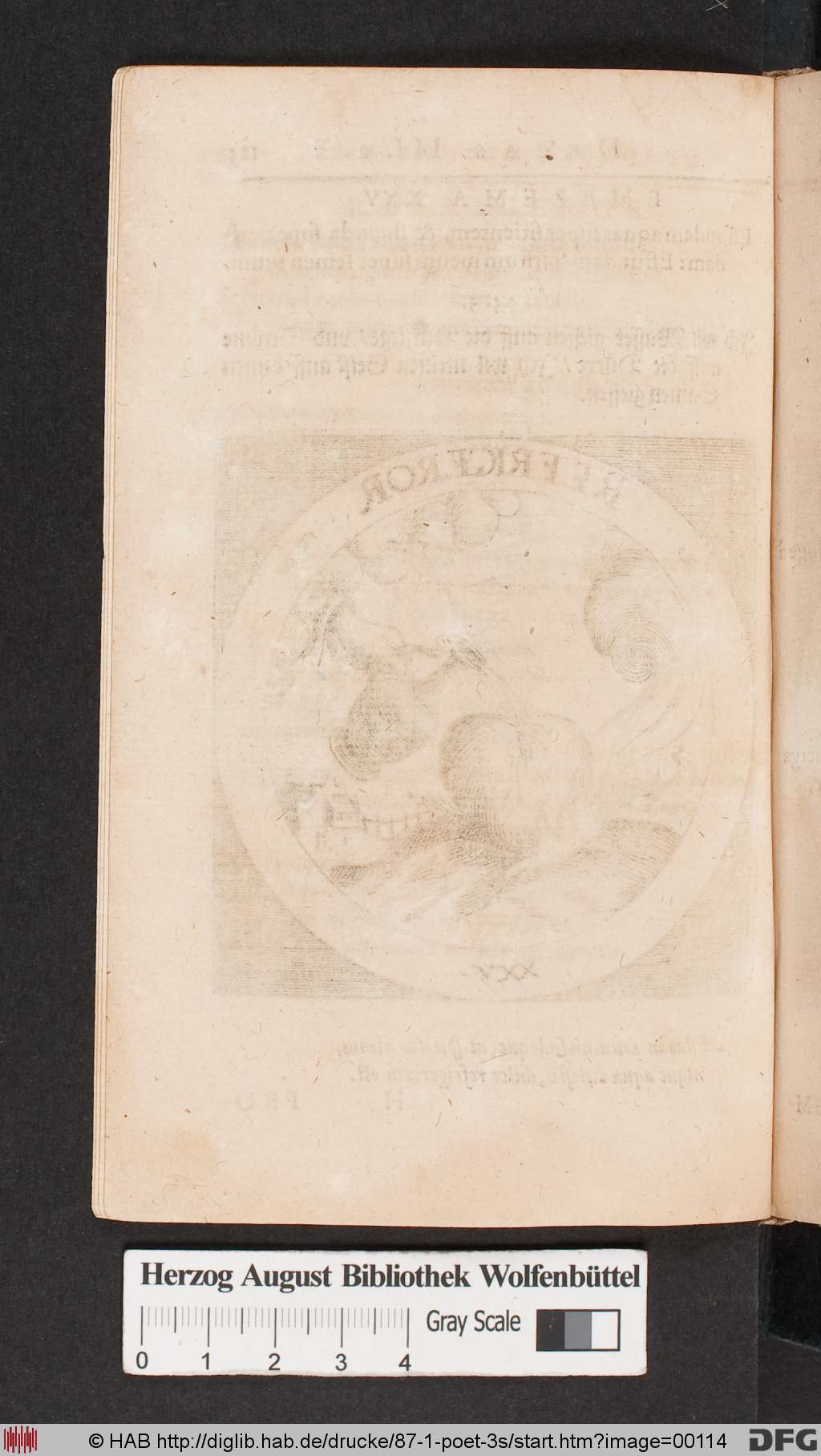 http://diglib.hab.de/drucke/87-1-poet-3s/00114.jpg