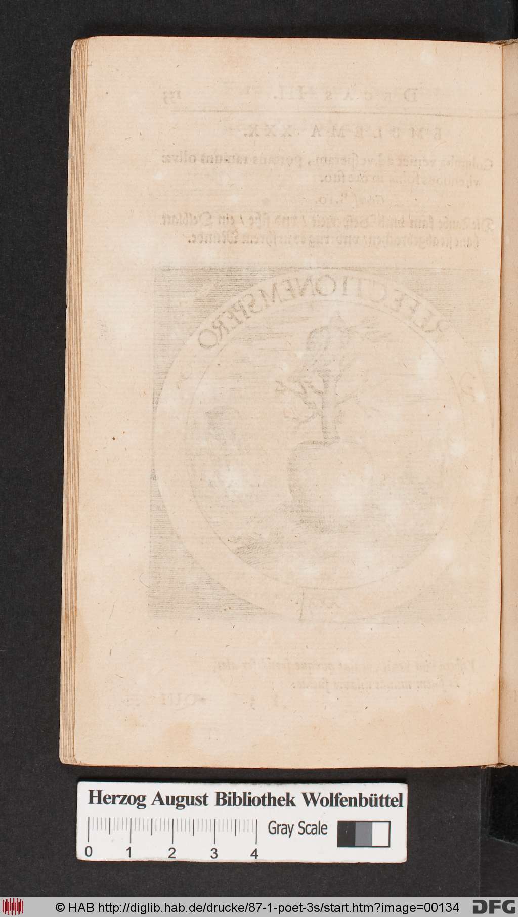 http://diglib.hab.de/drucke/87-1-poet-3s/00134.jpg