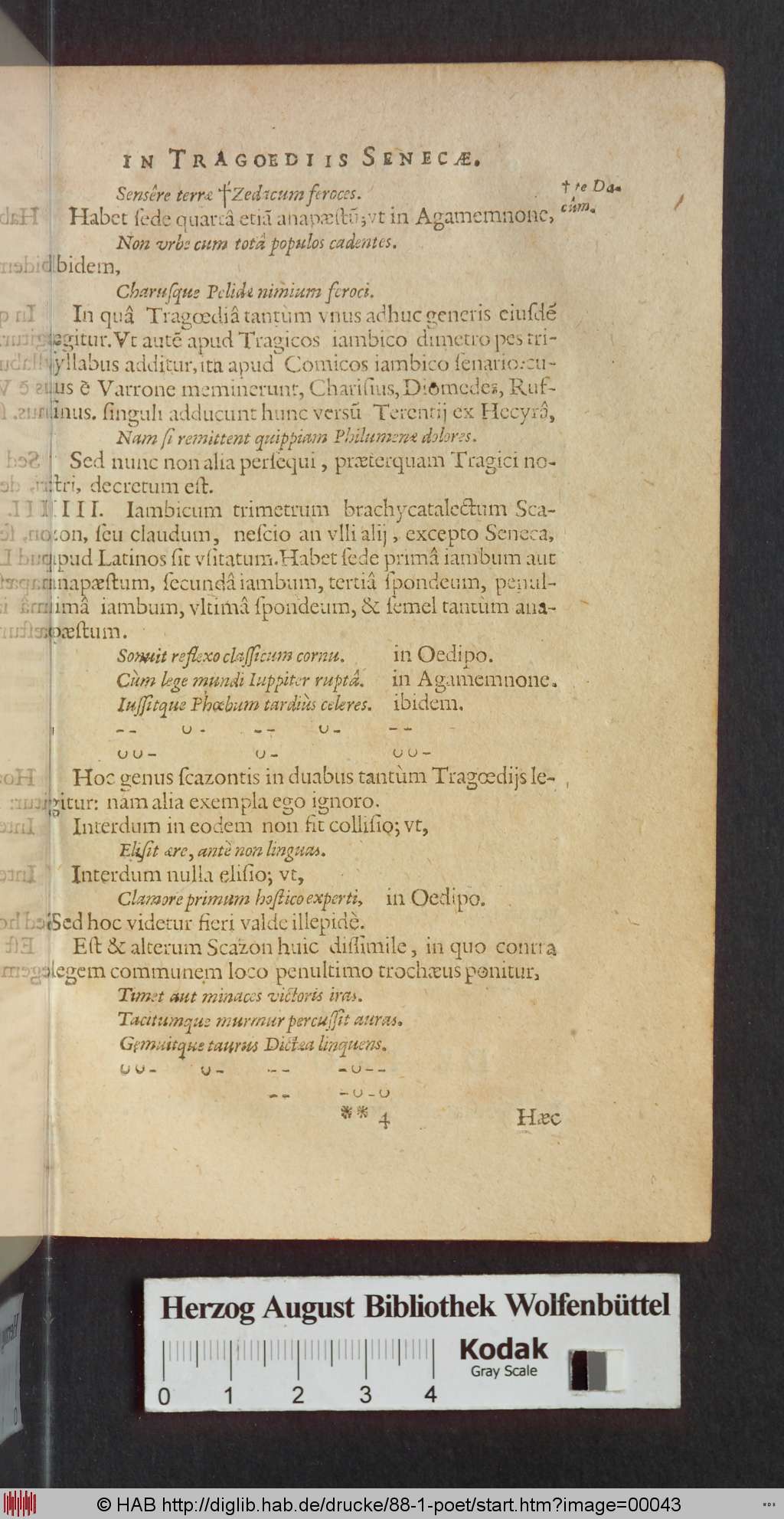 http://diglib.hab.de/drucke/88-1-poet/00043.jpg