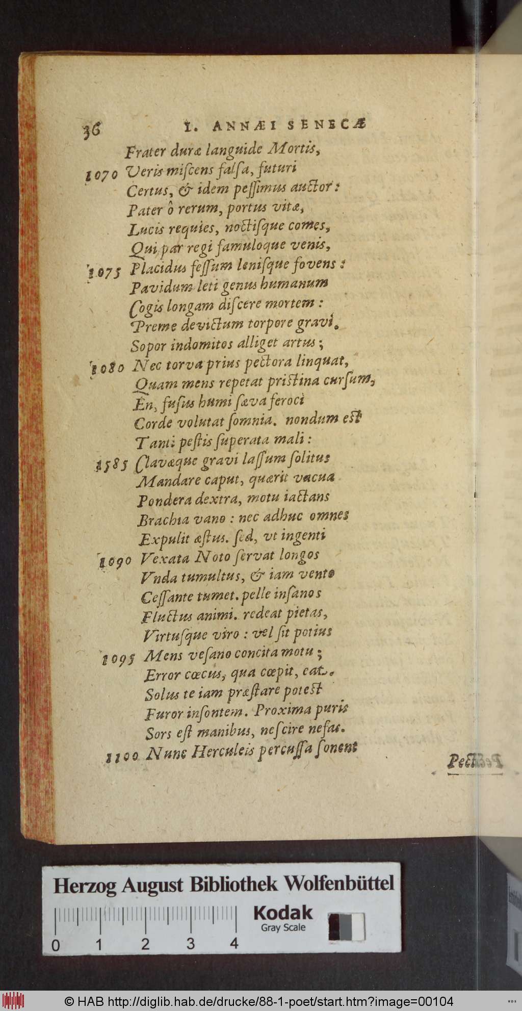 http://diglib.hab.de/drucke/88-1-poet/00104.jpg