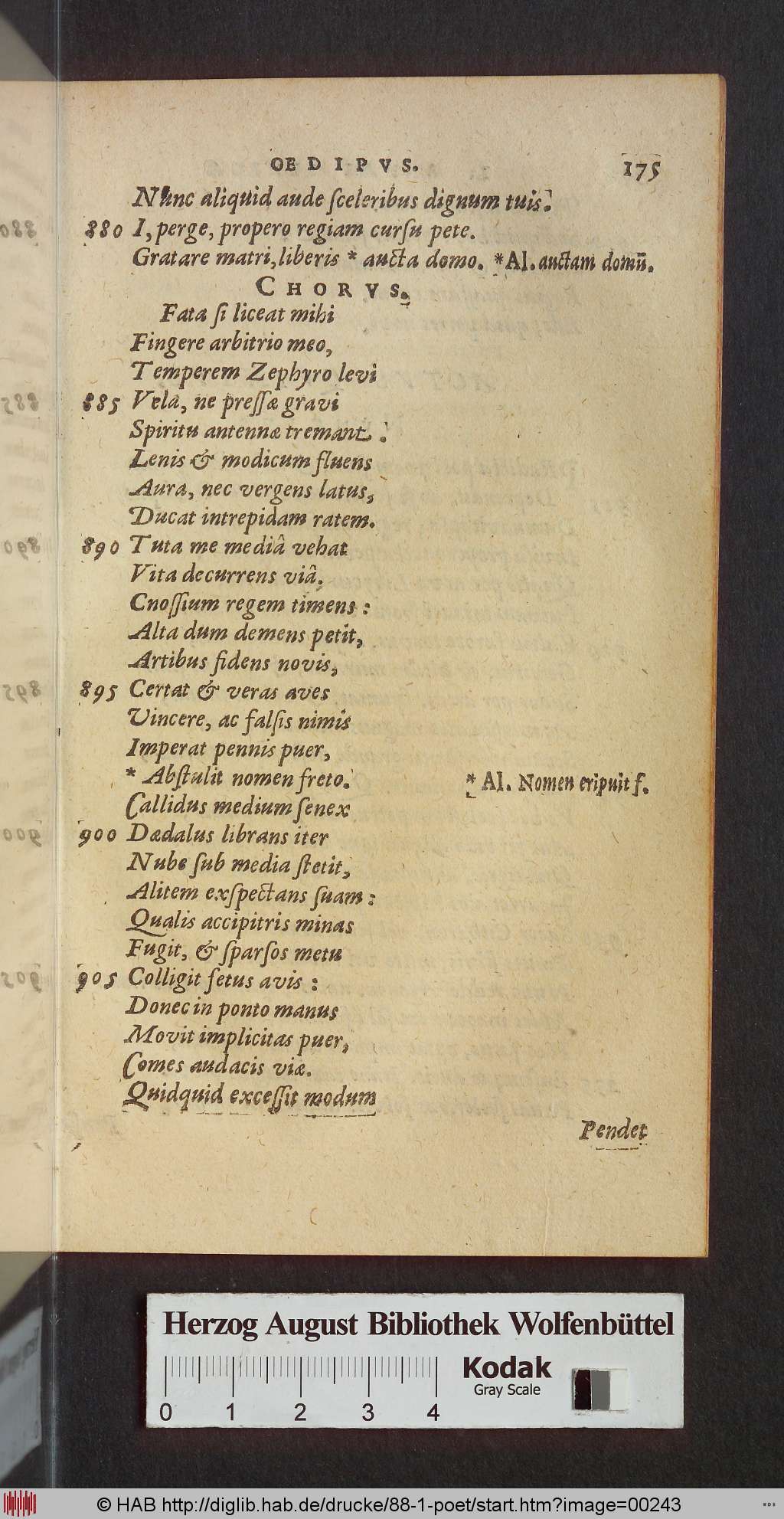 http://diglib.hab.de/drucke/88-1-poet/00243.jpg