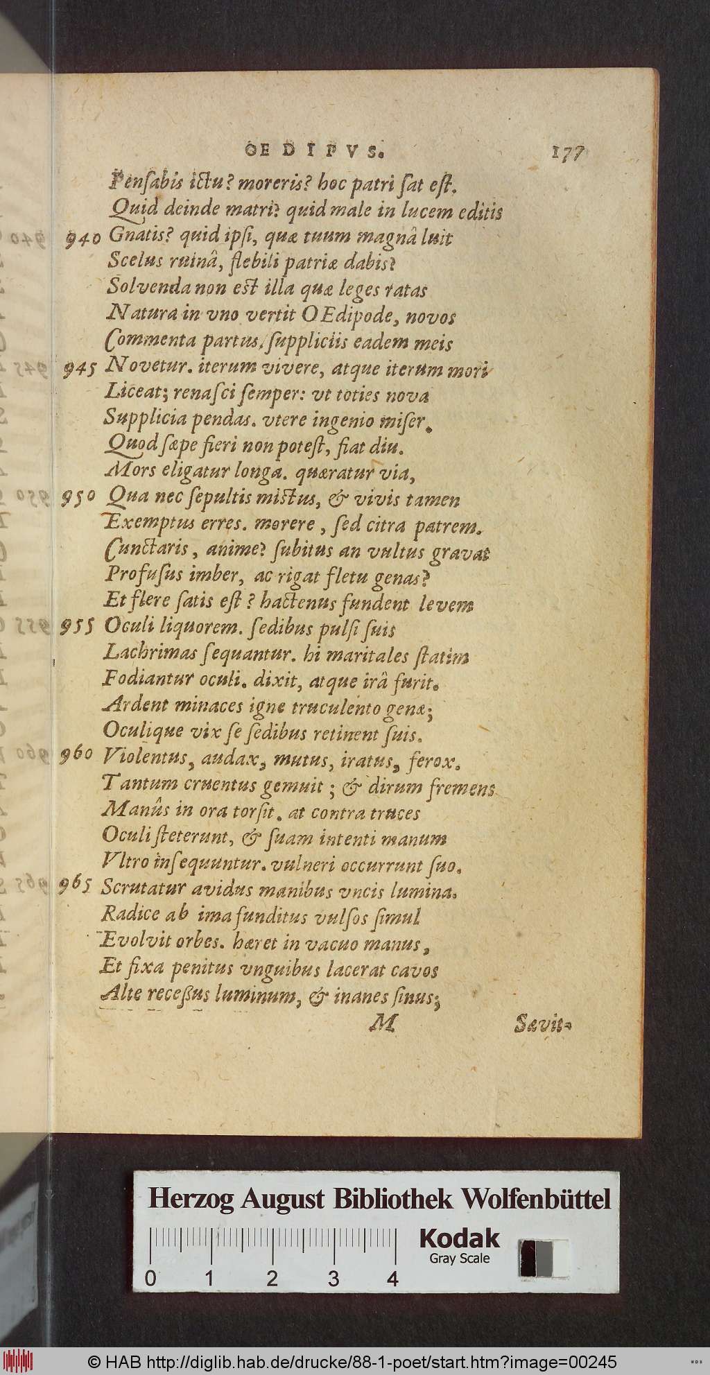http://diglib.hab.de/drucke/88-1-poet/00245.jpg