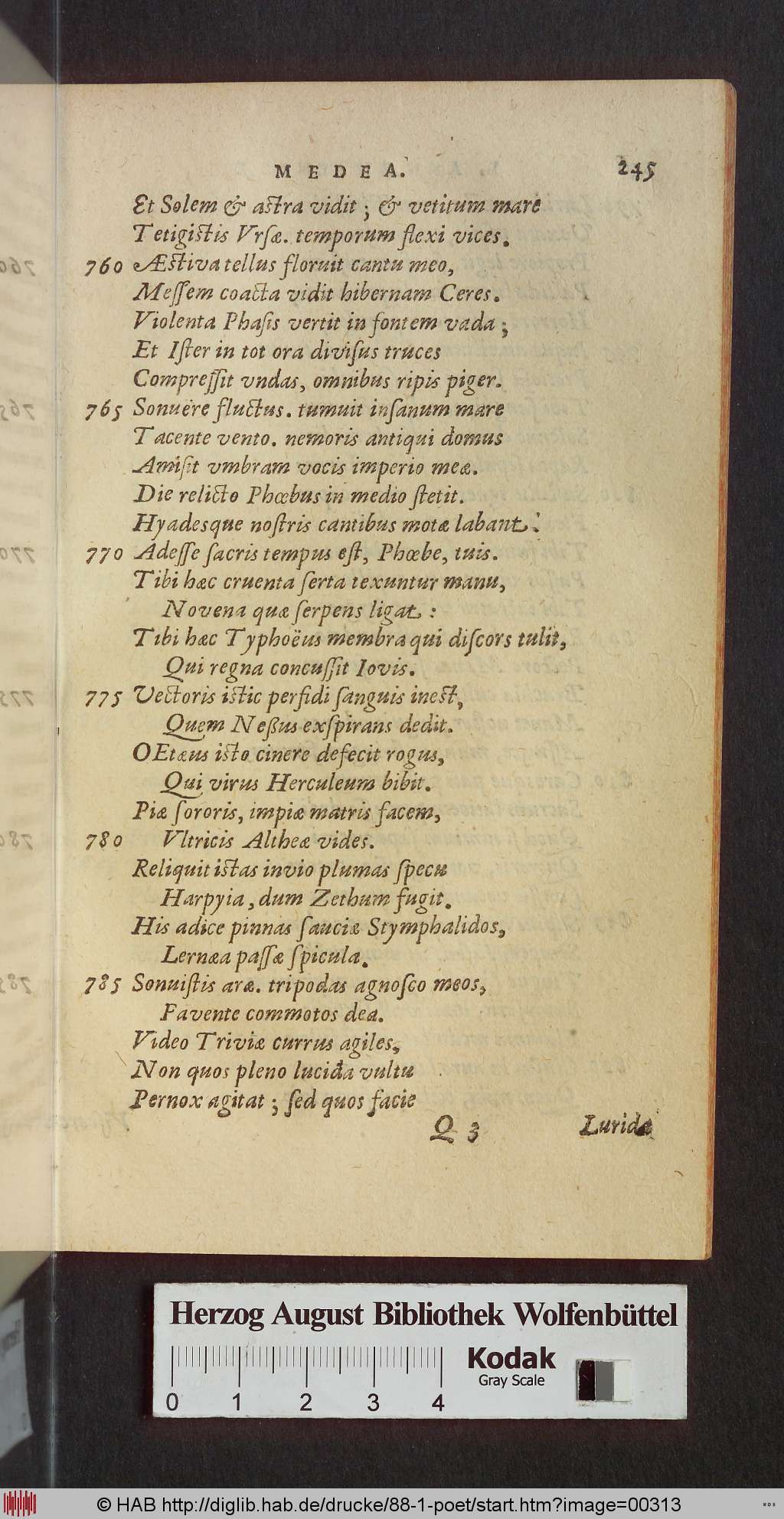 http://diglib.hab.de/drucke/88-1-poet/00313.jpg