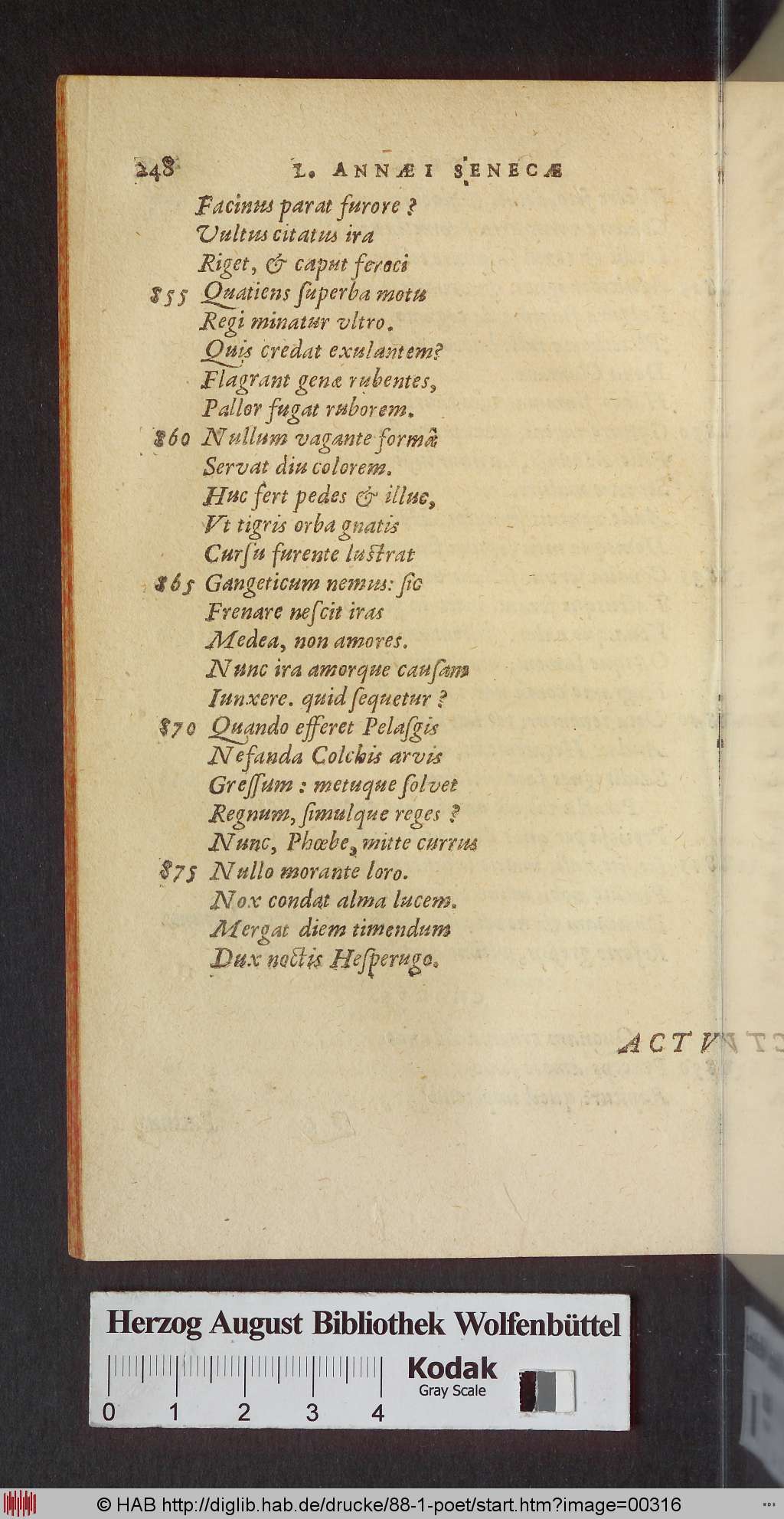 http://diglib.hab.de/drucke/88-1-poet/00316.jpg