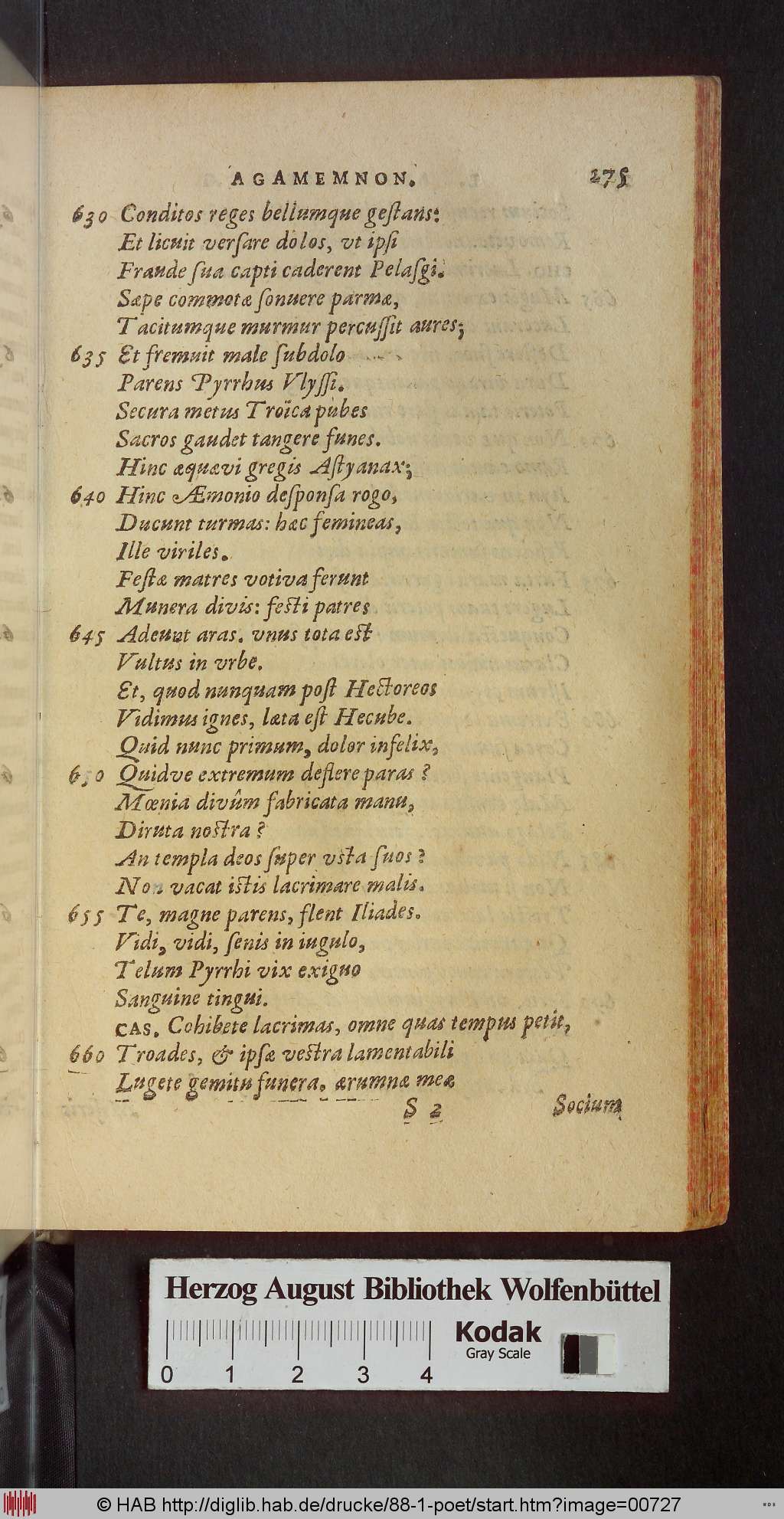 http://diglib.hab.de/drucke/88-1-poet/00727.jpg