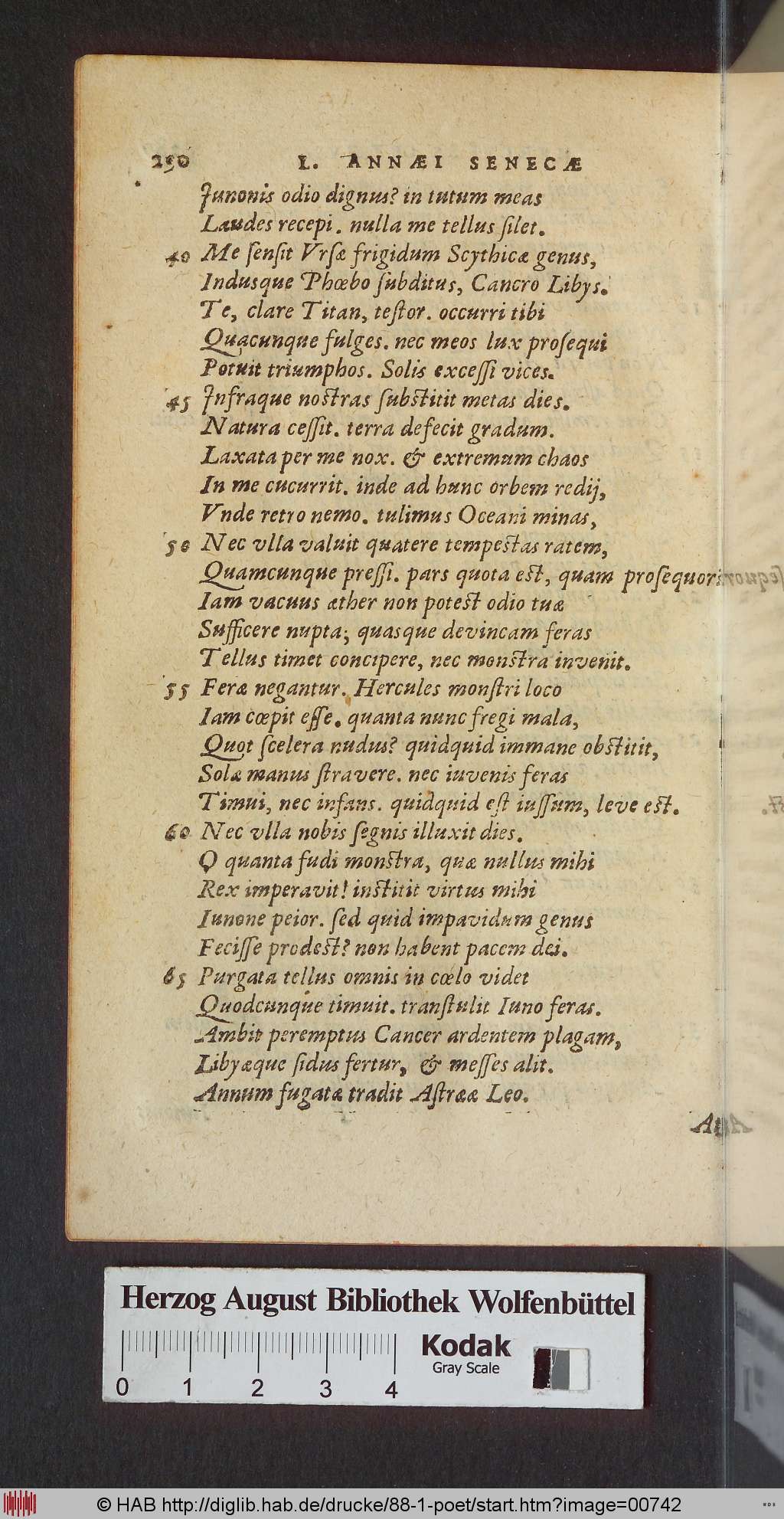 http://diglib.hab.de/drucke/88-1-poet/00742.jpg