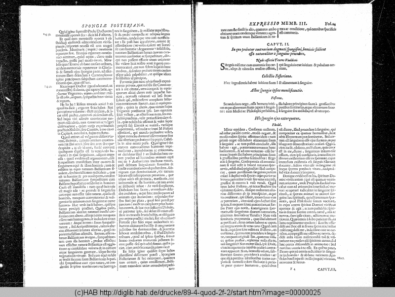 http://diglib.hab.de/drucke/89-4-quod-2f-2/min/00000025.gif