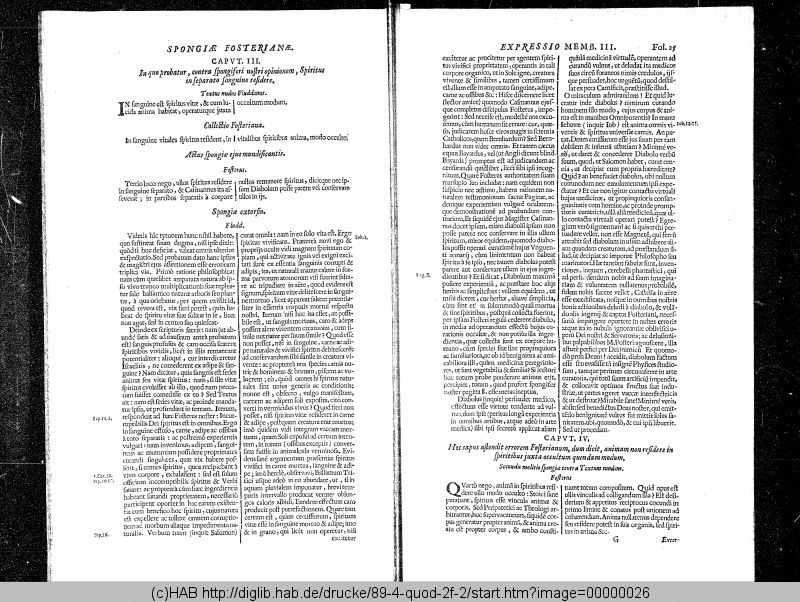 http://diglib.hab.de/drucke/89-4-quod-2f-2/min/00000026.gif