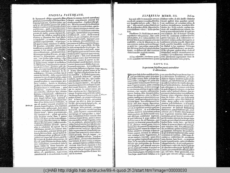 http://diglib.hab.de/drucke/89-4-quod-2f-2/min/00000030.gif