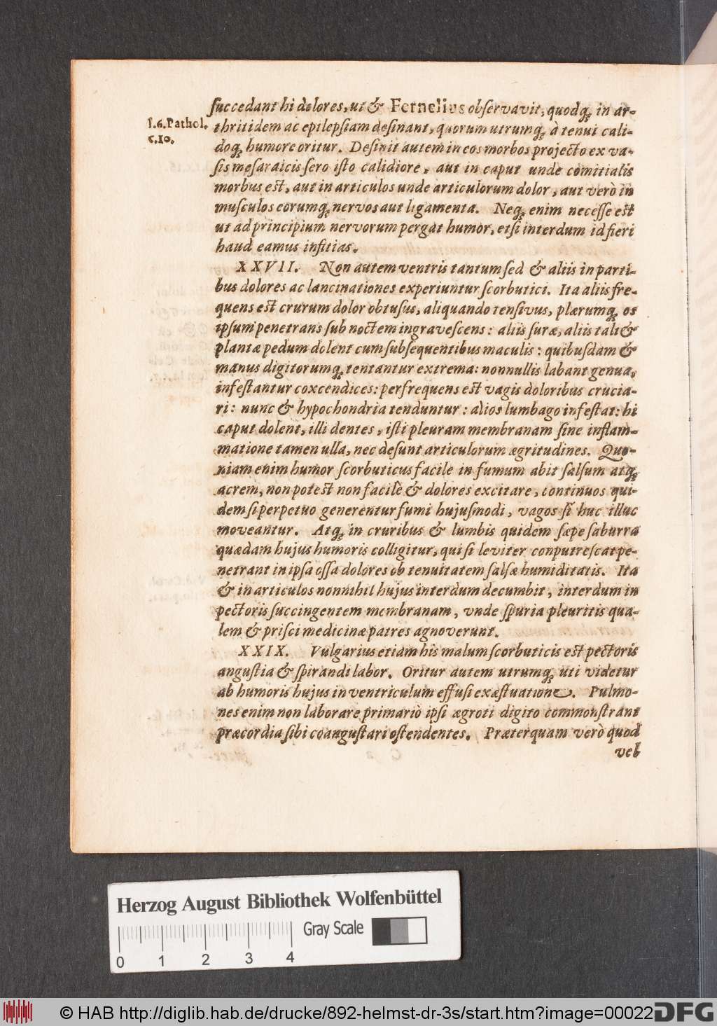 http://diglib.hab.de/drucke/892-helmst-dr-3s/00022.jpg