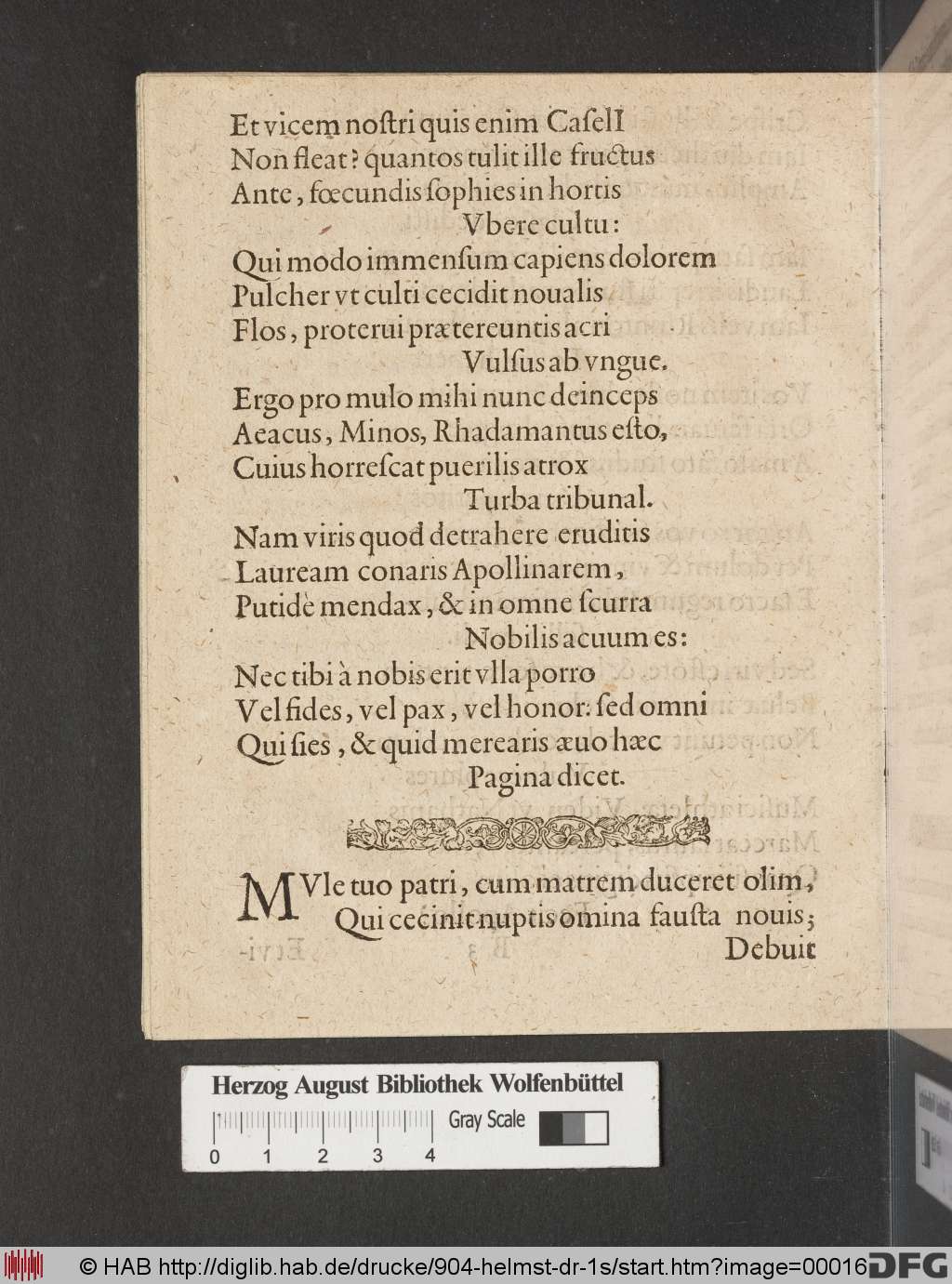 http://diglib.hab.de/drucke/904-helmst-dr-1s/00016.jpg