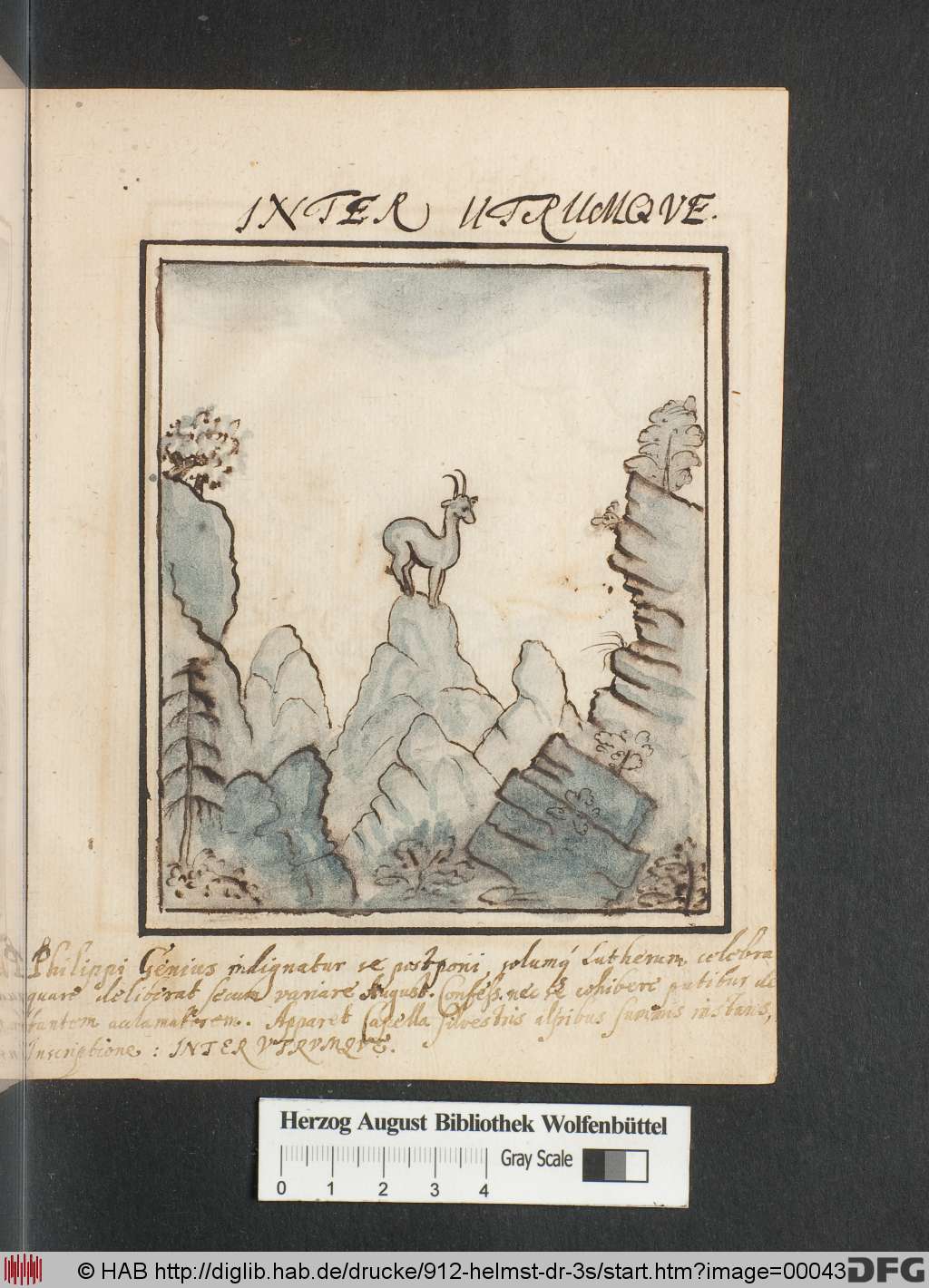 http://diglib.hab.de/drucke/912-helmst-dr-3s/00043.jpg