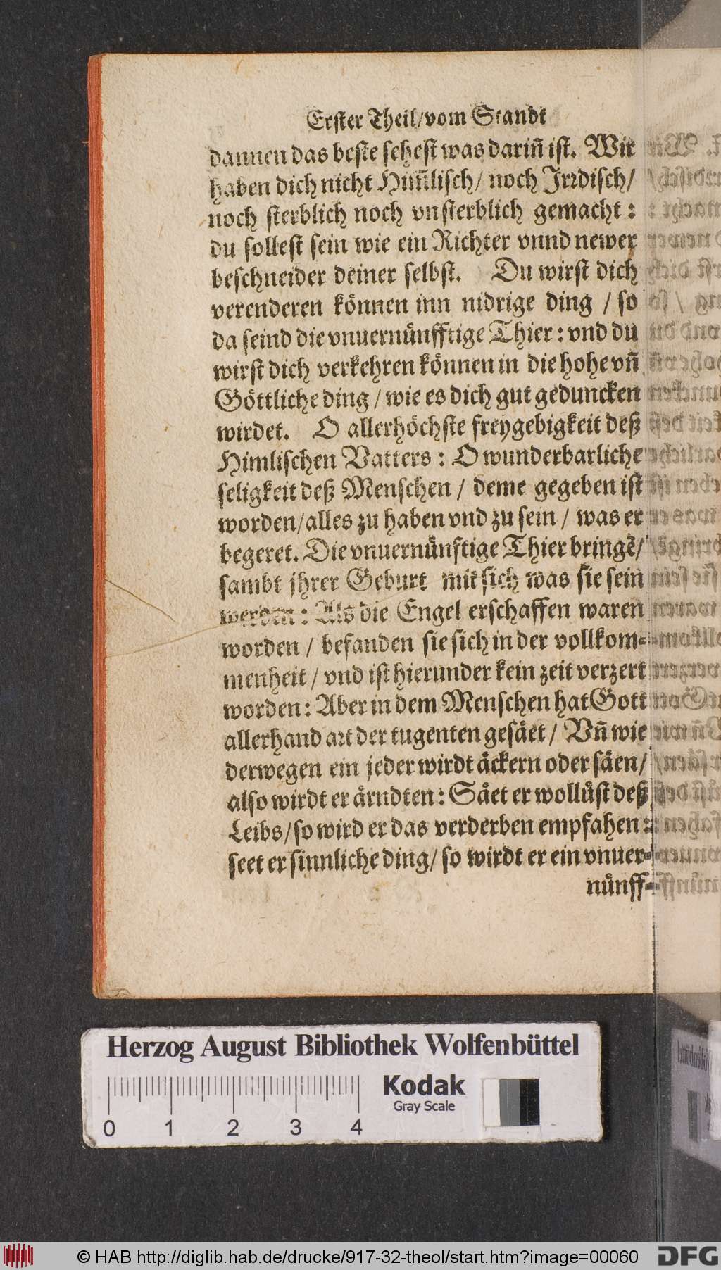 http://diglib.hab.de/drucke/917-32-theol/00060.jpg