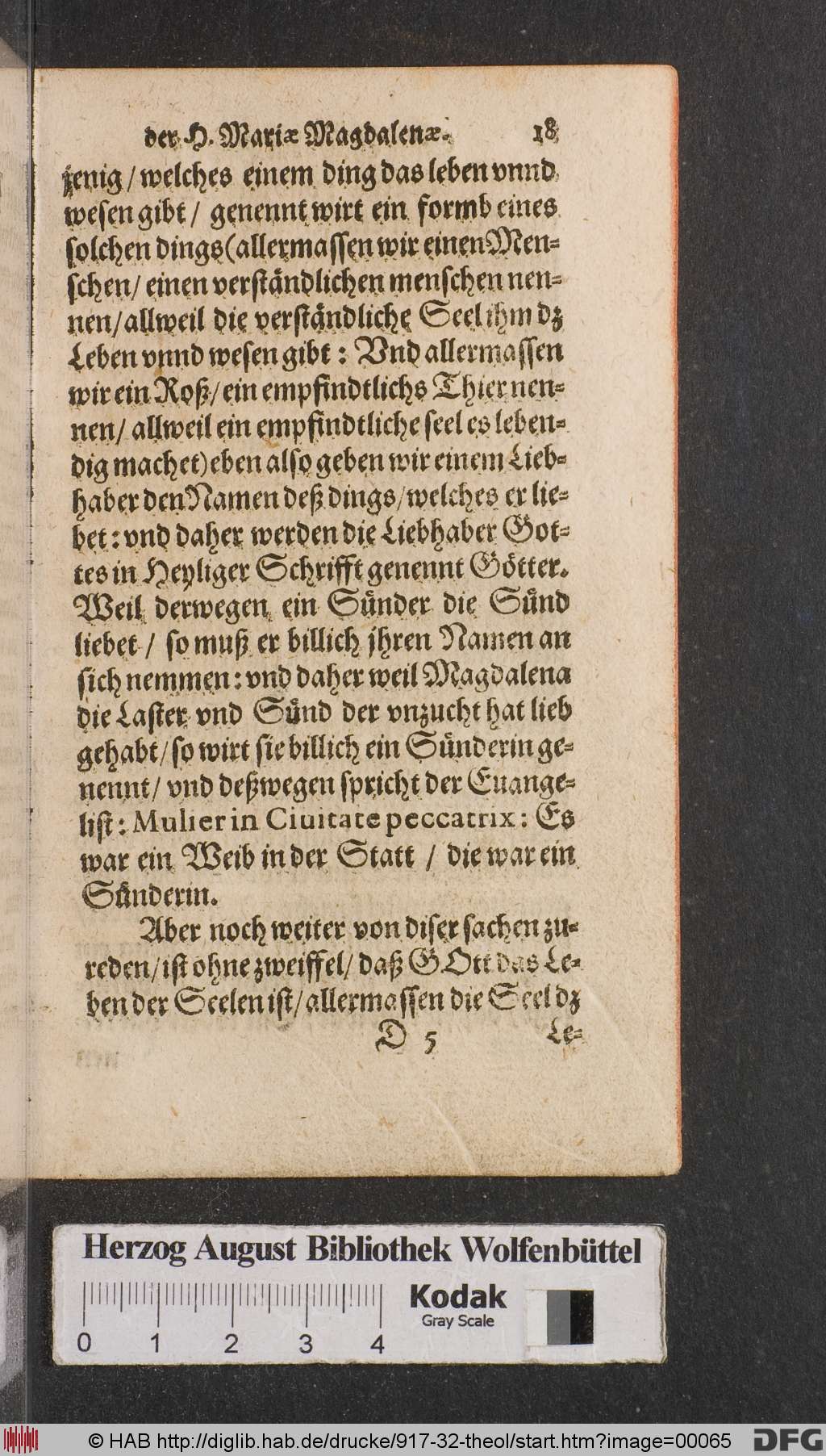 http://diglib.hab.de/drucke/917-32-theol/00065.jpg