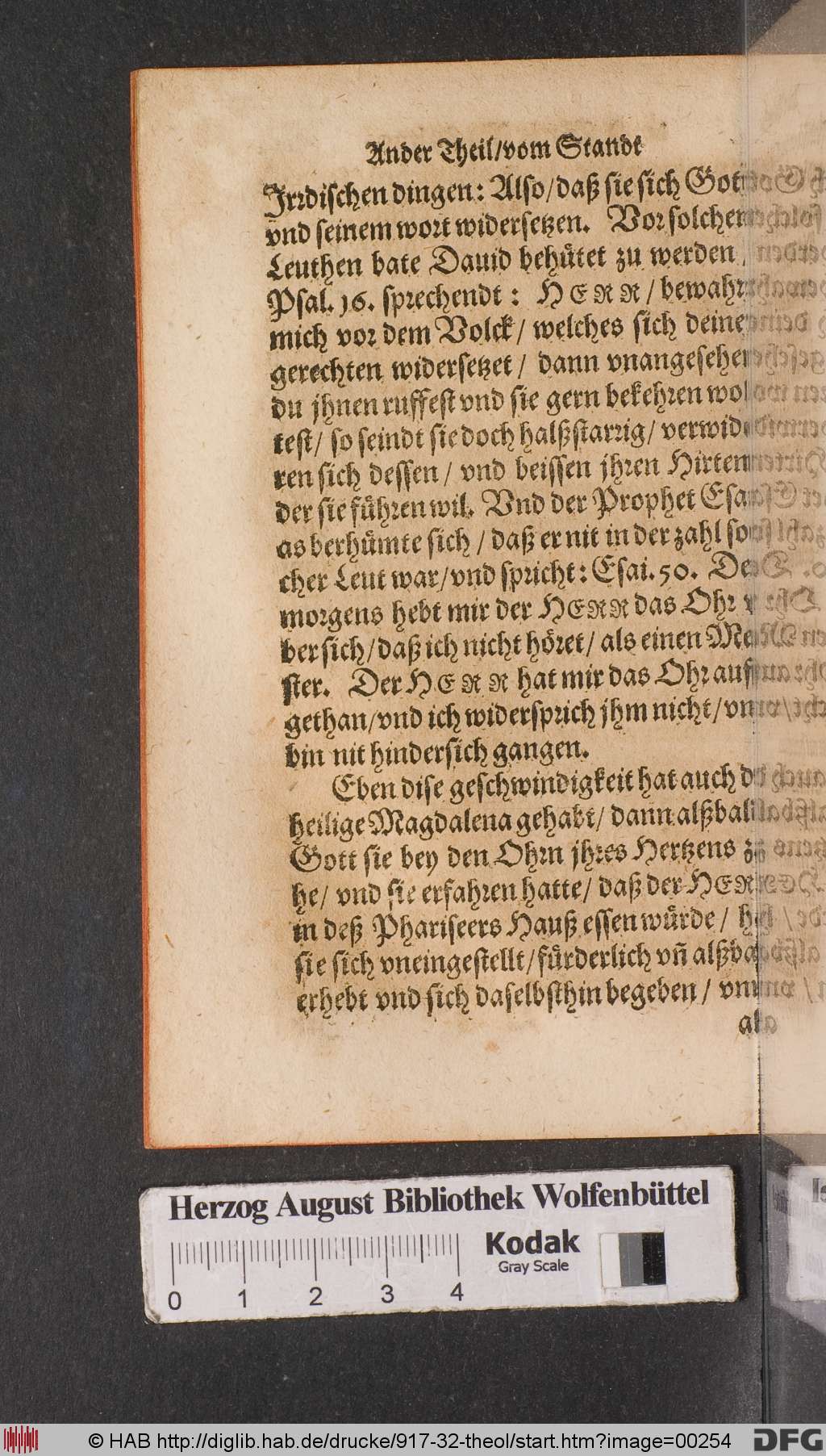 http://diglib.hab.de/drucke/917-32-theol/00254.jpg