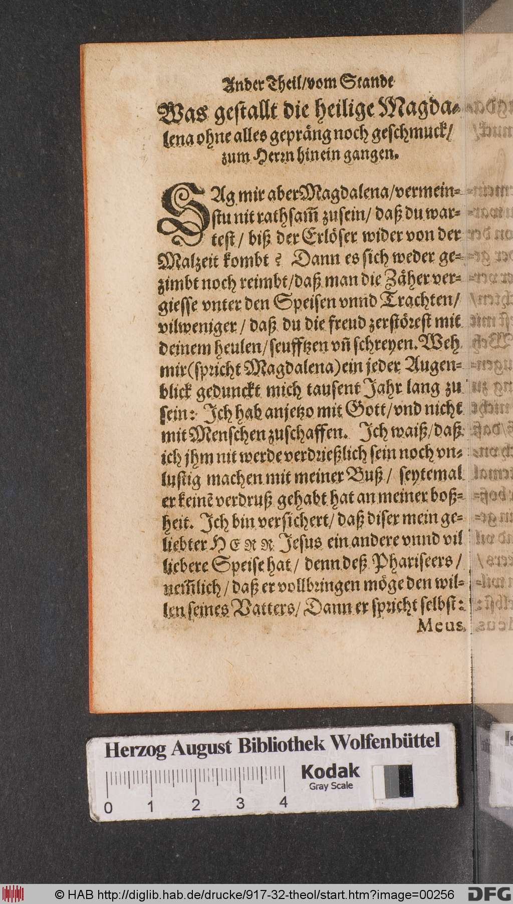 http://diglib.hab.de/drucke/917-32-theol/00256.jpg