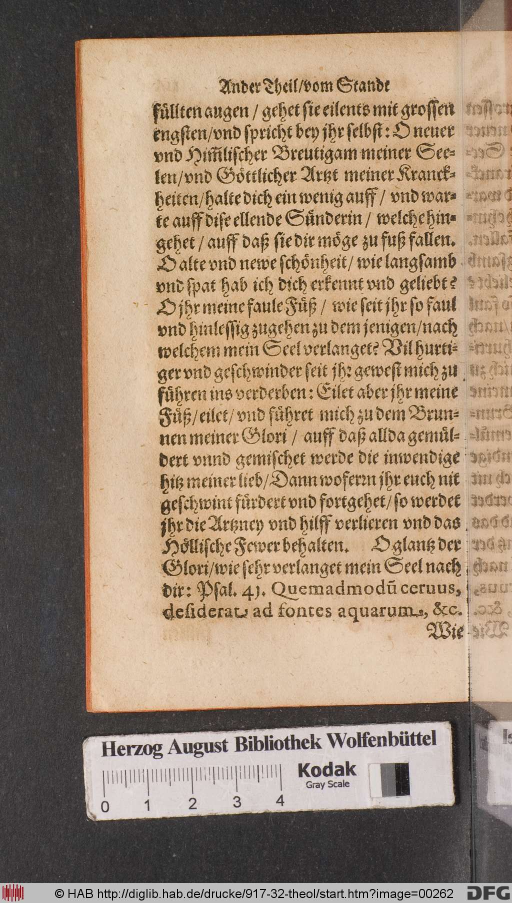 http://diglib.hab.de/drucke/917-32-theol/00262.jpg