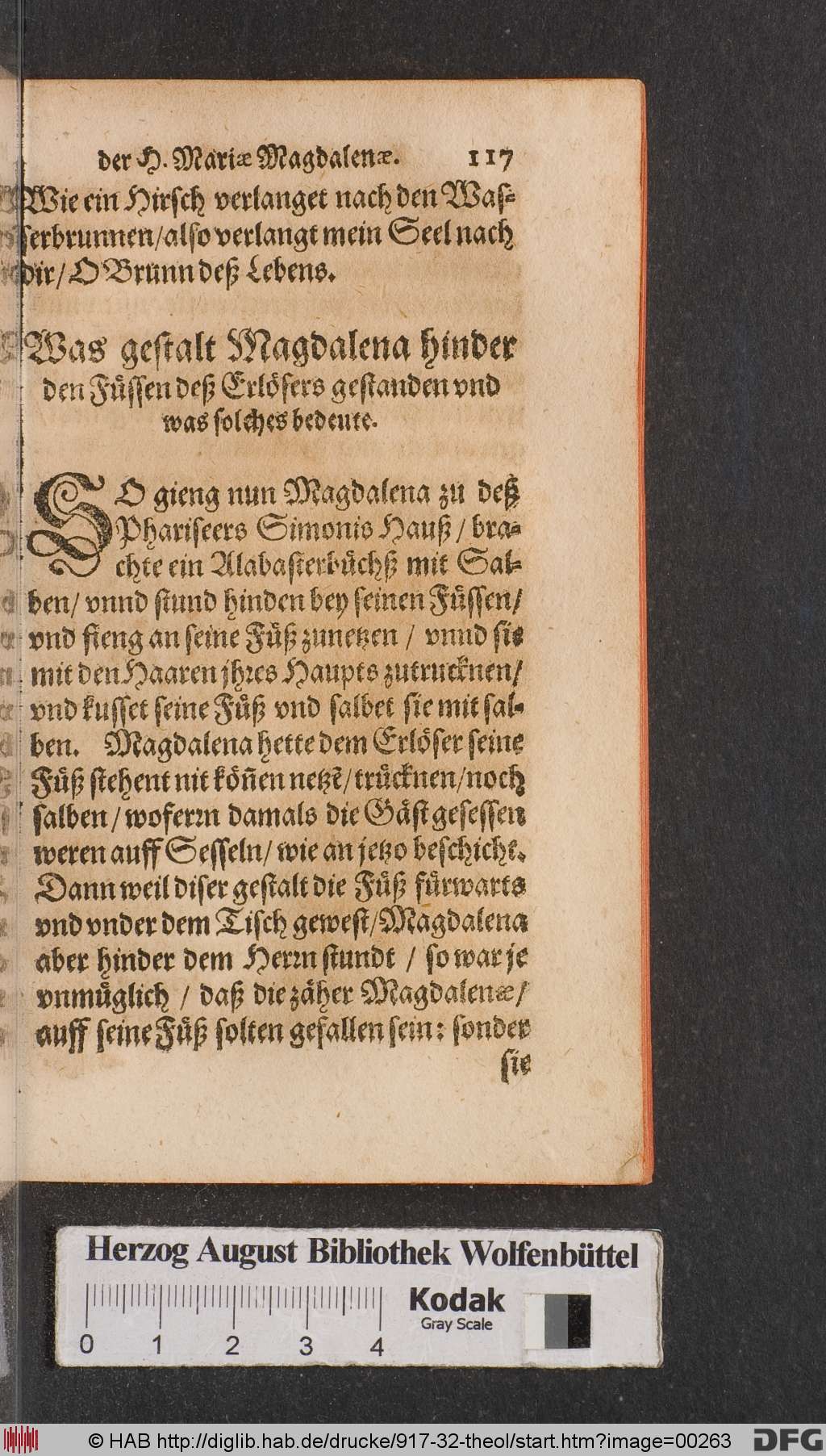 http://diglib.hab.de/drucke/917-32-theol/00263.jpg