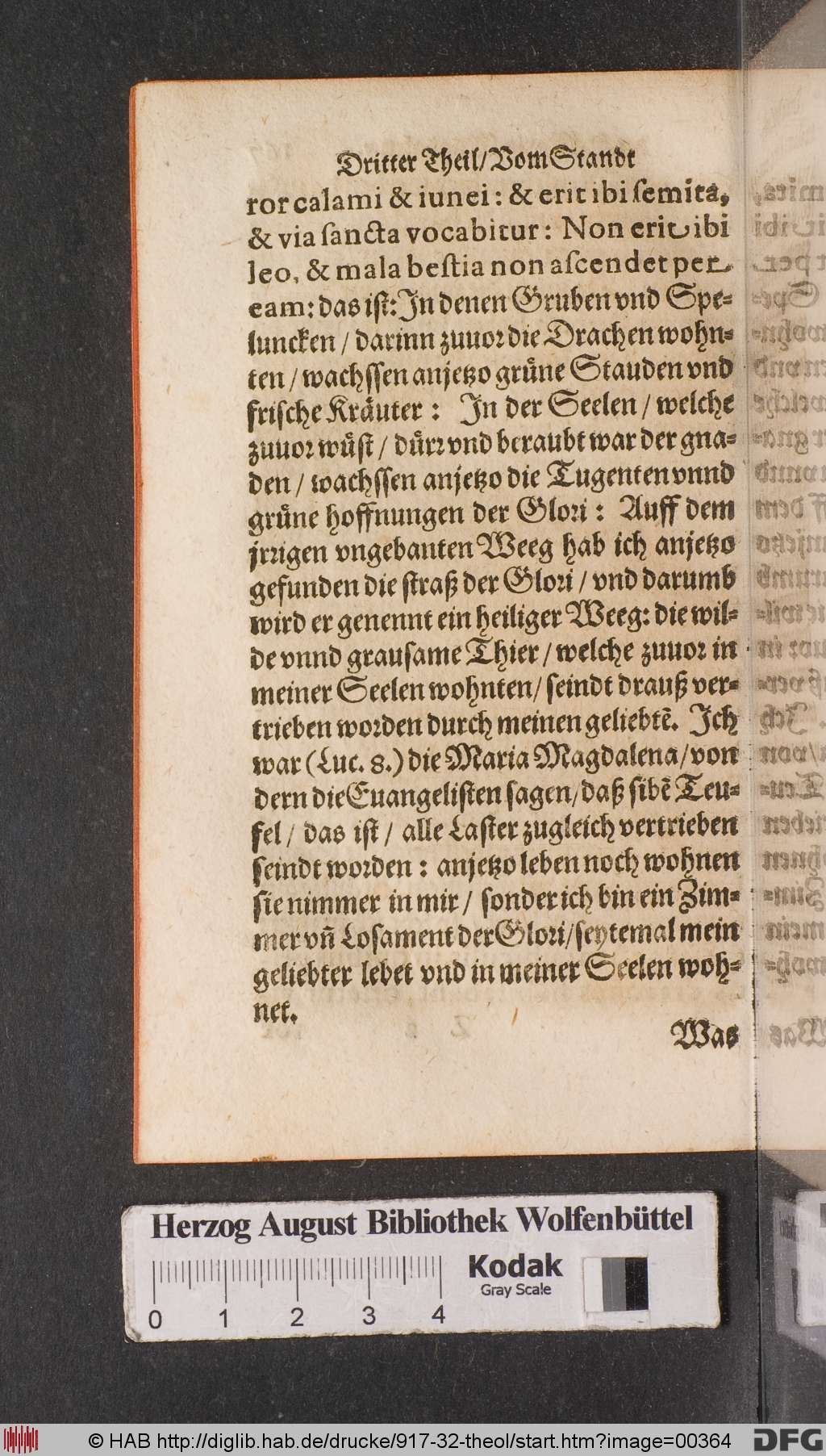 http://diglib.hab.de/drucke/917-32-theol/00364.jpg