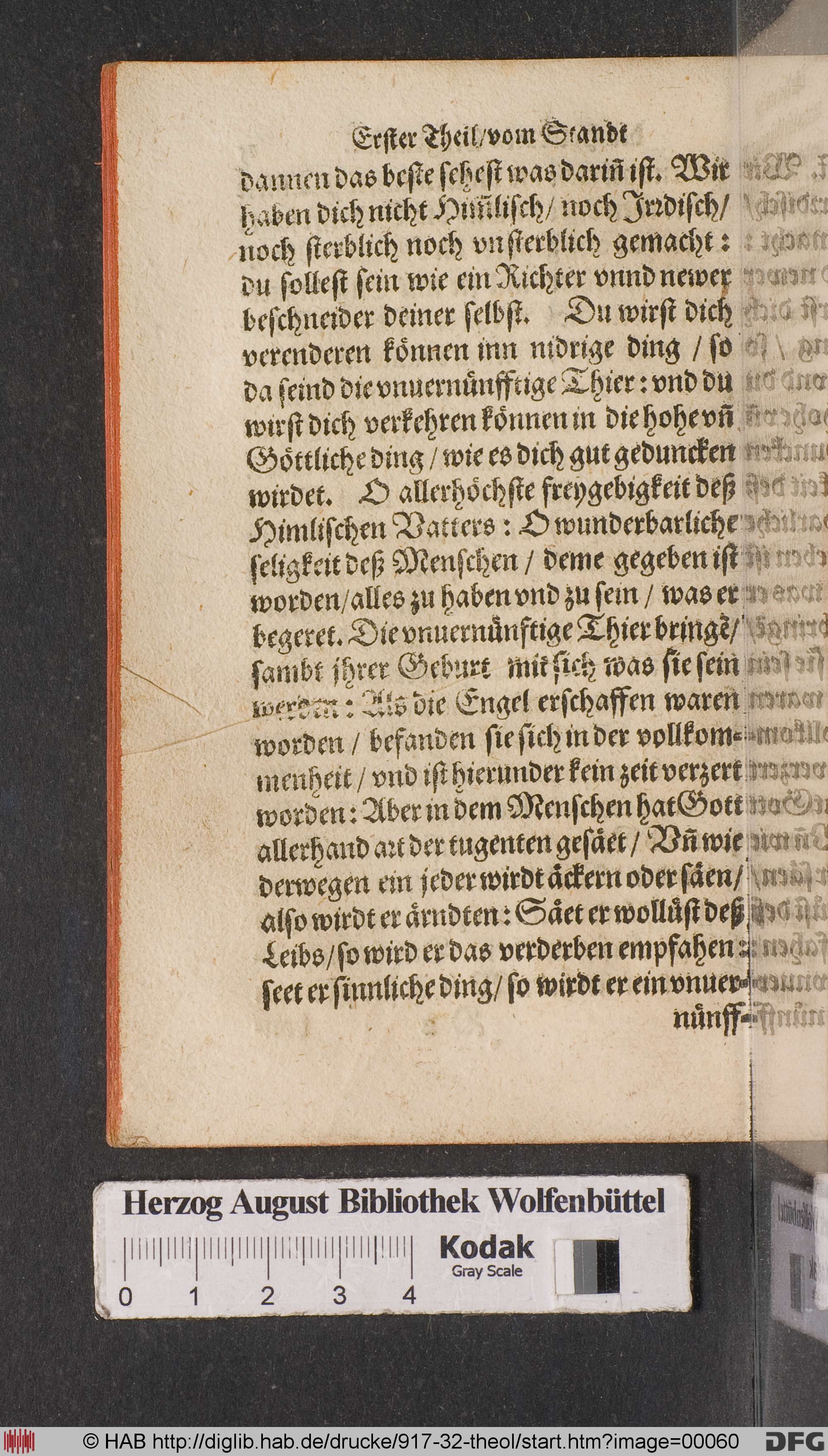 http://diglib.hab.de/drucke/917-32-theol/max/00060.jpg