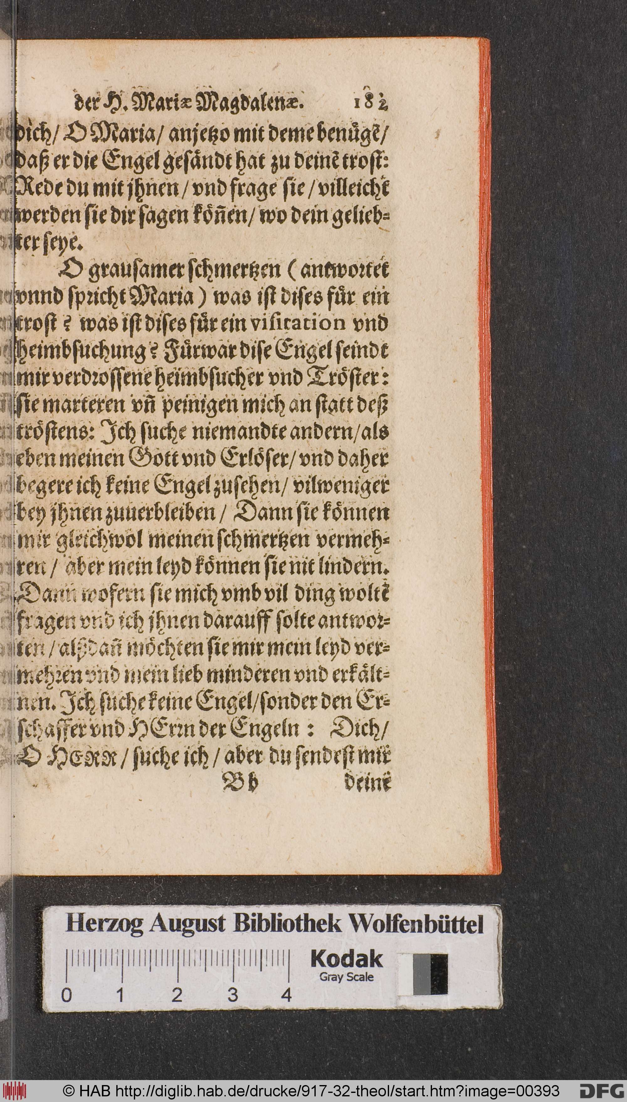 http://diglib.hab.de/drucke/917-32-theol/max/00393.jpg