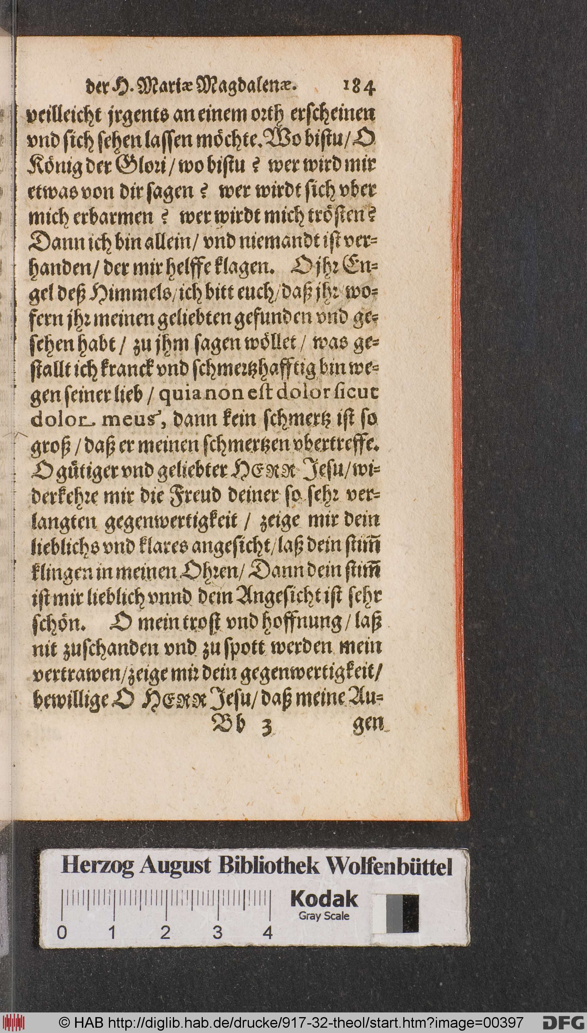 http://diglib.hab.de/drucke/917-32-theol/max/00397.jpg