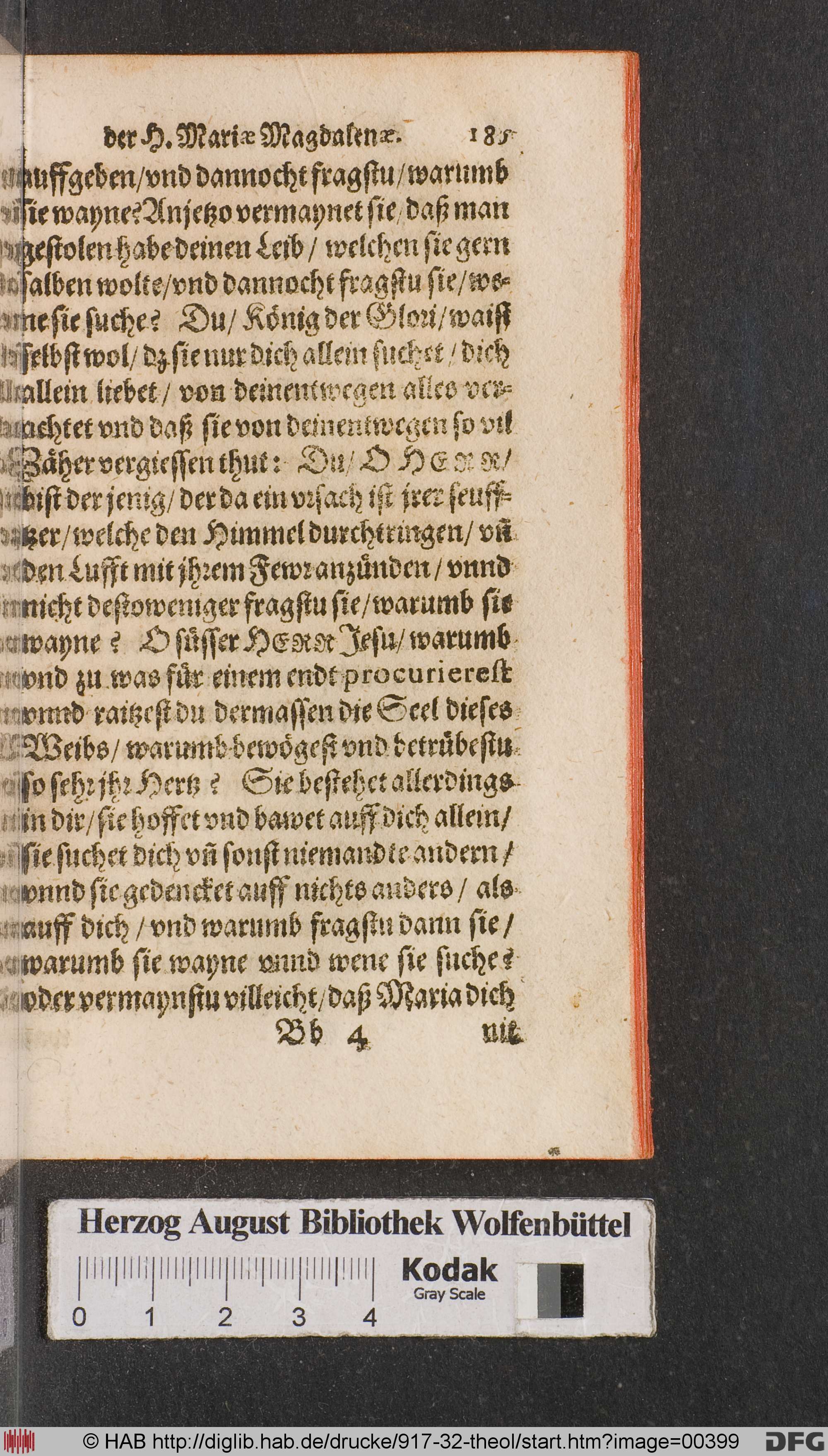 http://diglib.hab.de/drucke/917-32-theol/max/00399.jpg