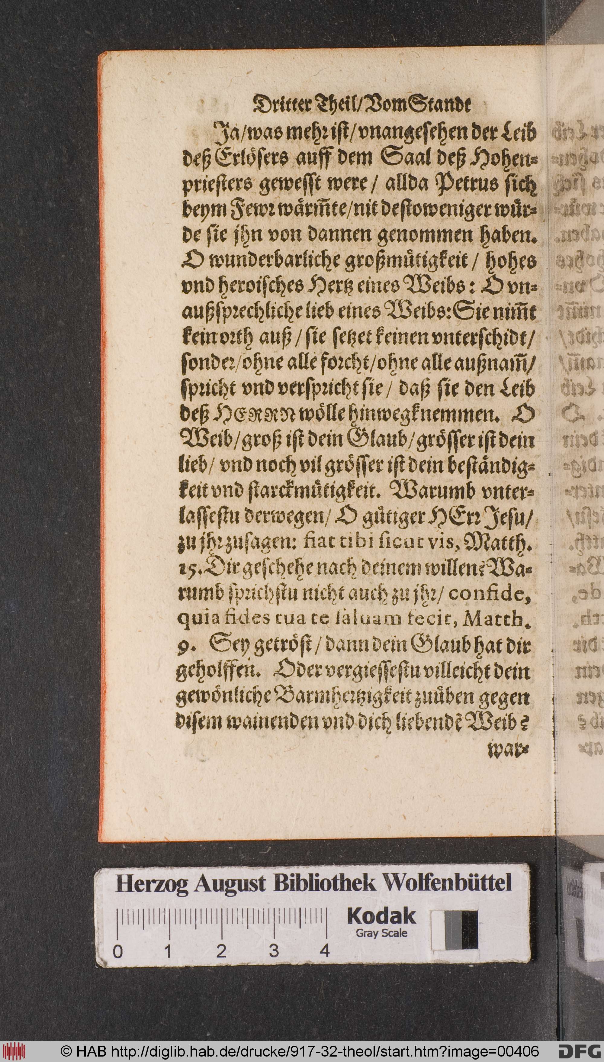http://diglib.hab.de/drucke/917-32-theol/max/00406.jpg
