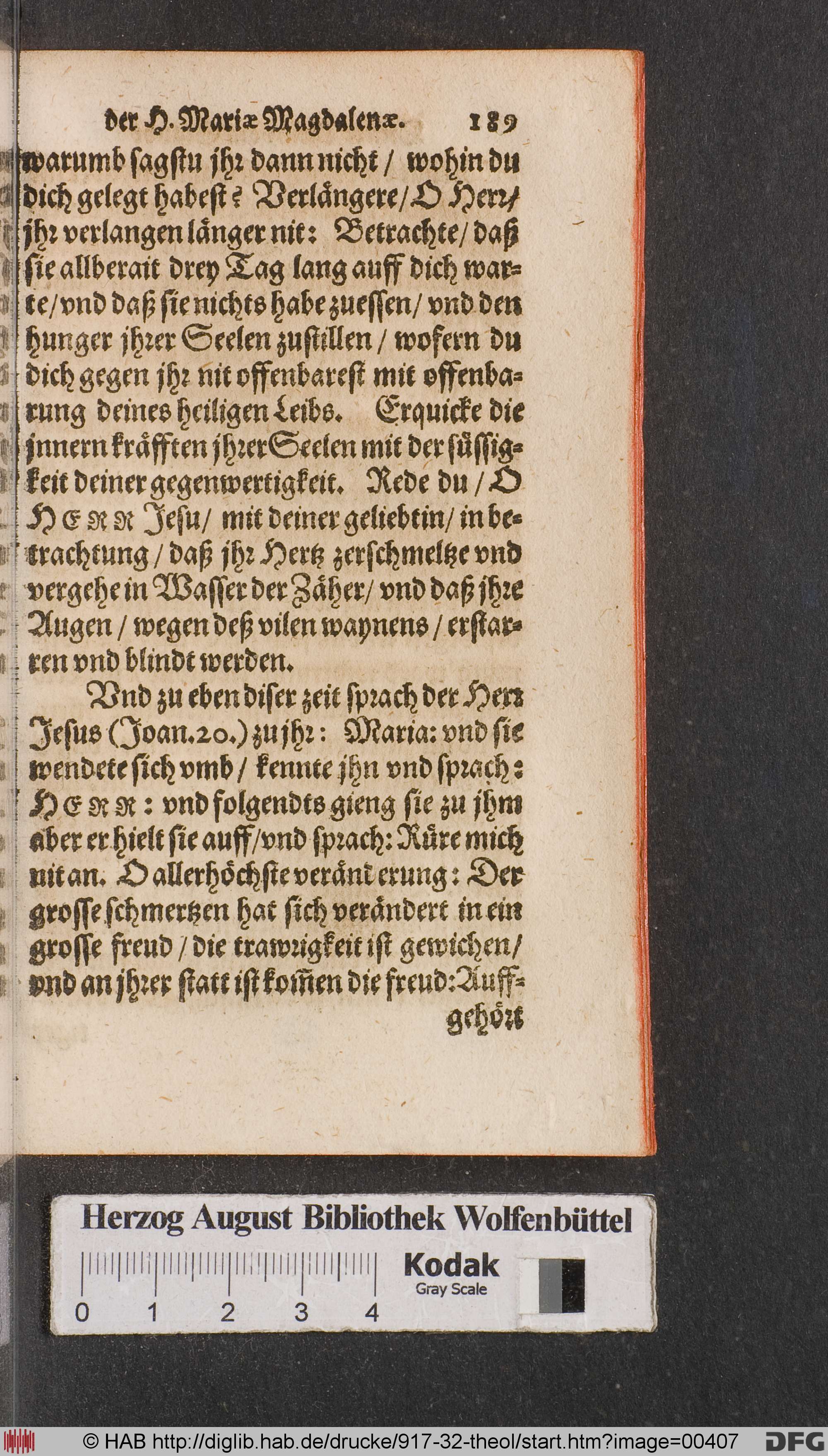 http://diglib.hab.de/drucke/917-32-theol/max/00407.jpg