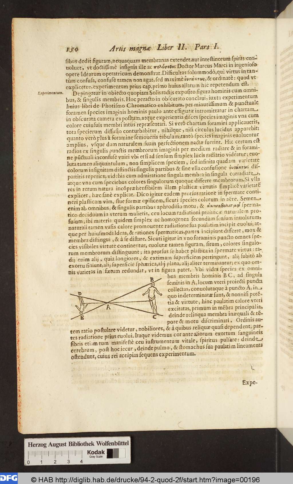 http://diglib.hab.de/drucke/94-2-quod-2f/00196.jpg