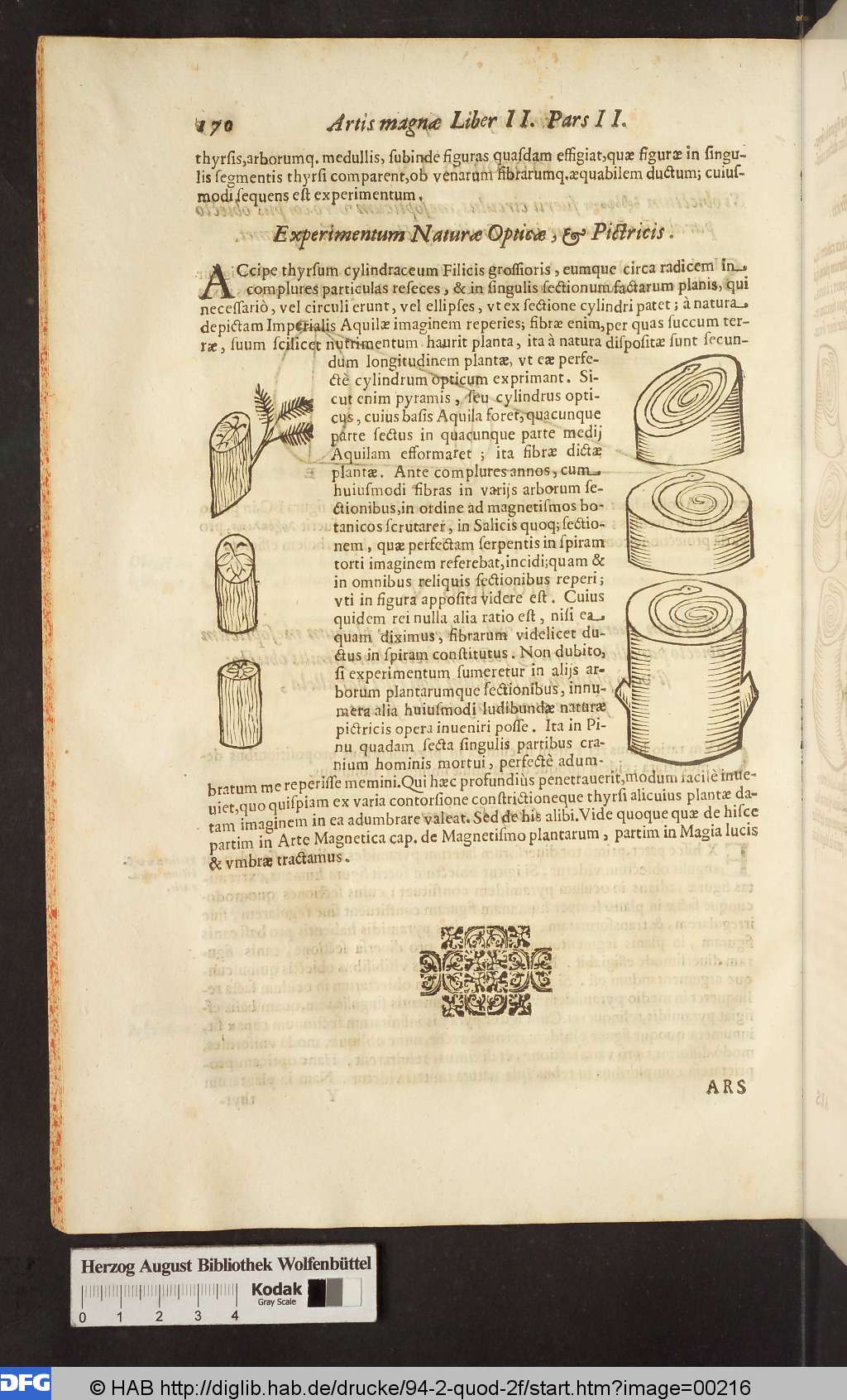 http://diglib.hab.de/drucke/94-2-quod-2f/00216.jpg