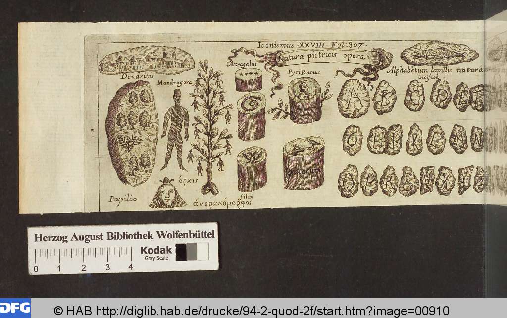 http://diglib.hab.de/drucke/94-2-quod-2f/00910.jpg