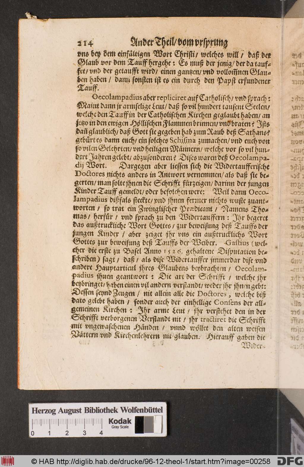 http://diglib.hab.de/drucke/96-12-theol-1/00258.jpg