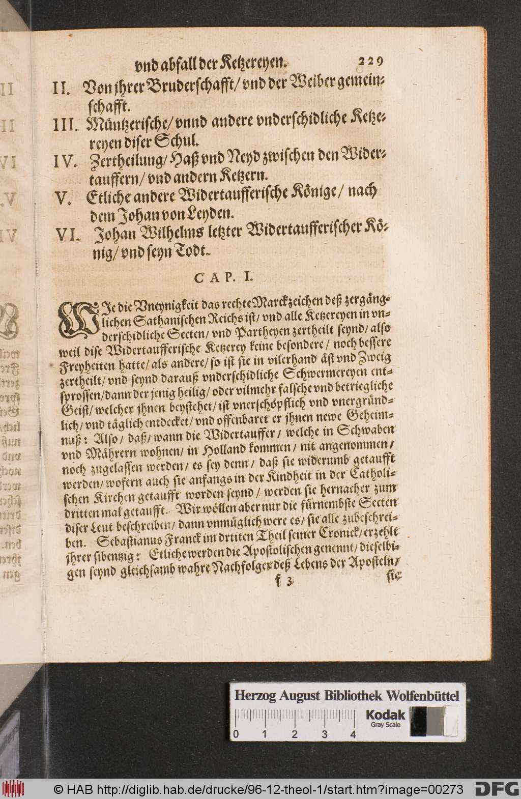 http://diglib.hab.de/drucke/96-12-theol-1/00273.jpg