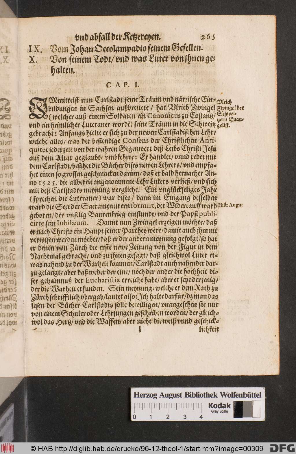 http://diglib.hab.de/drucke/96-12-theol-1/00309.jpg