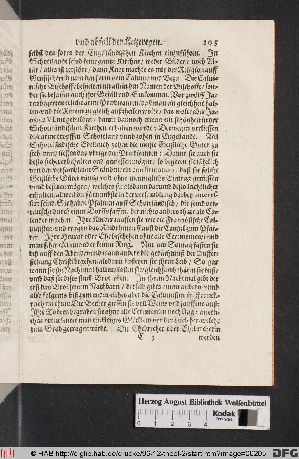 http://diglib.hab.de/drucke/96-12-theol-2/00205.jpg