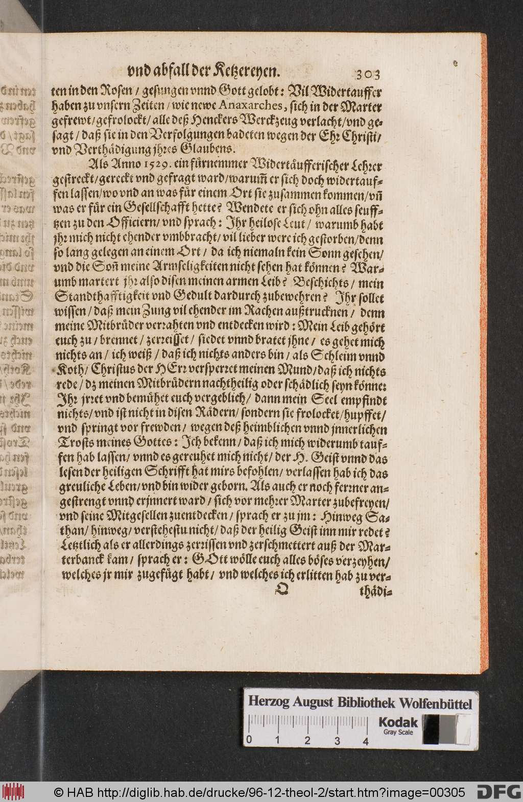 http://diglib.hab.de/drucke/96-12-theol-2/00305.jpg