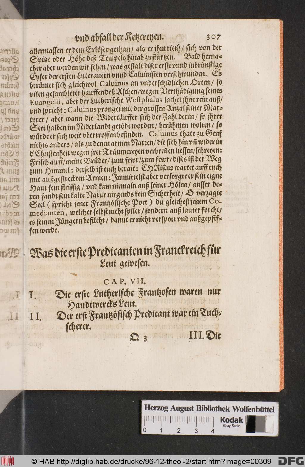 http://diglib.hab.de/drucke/96-12-theol-2/00309.jpg