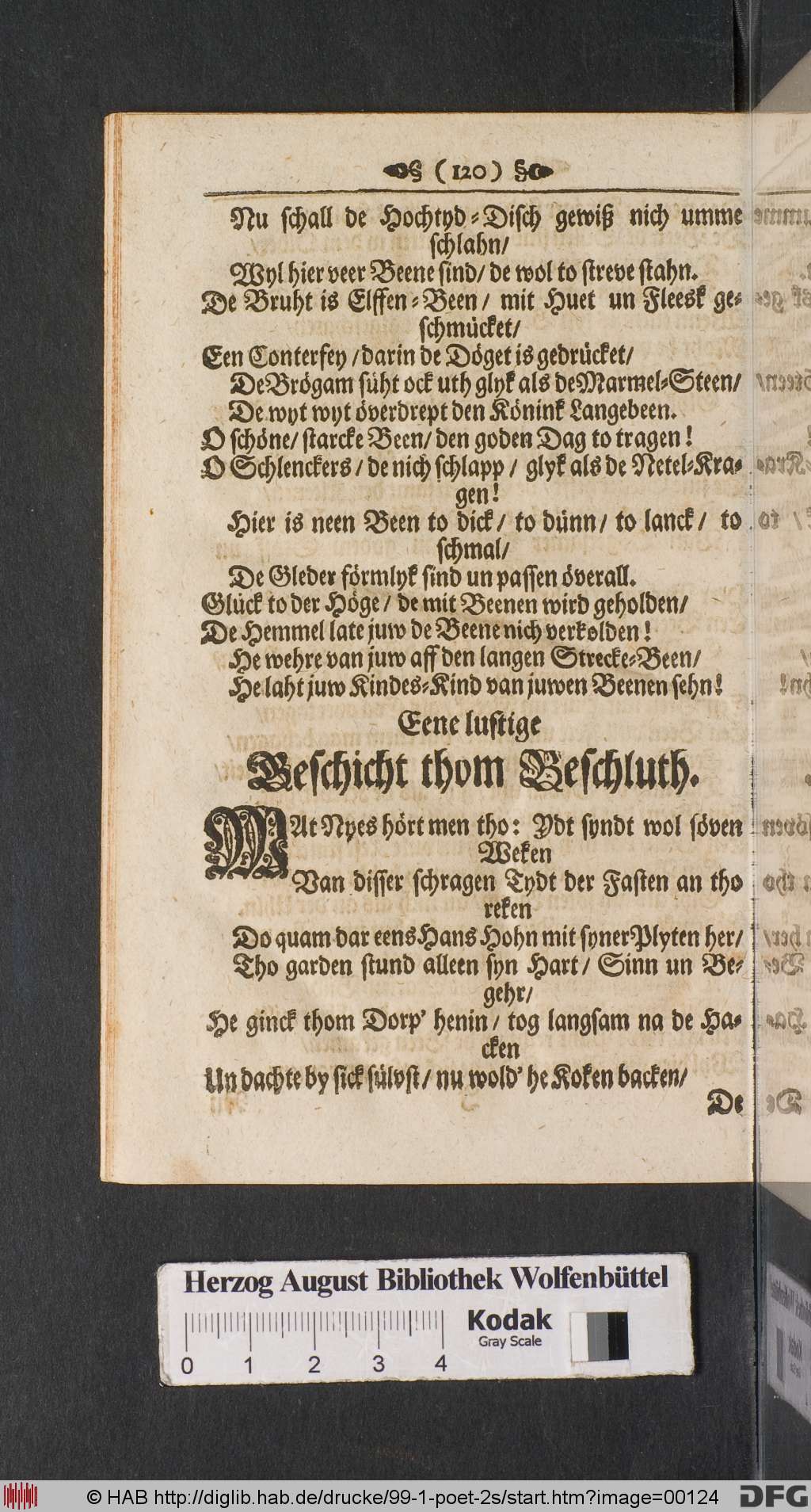 http://diglib.hab.de/drucke/99-1-poet-2s/00124.jpg