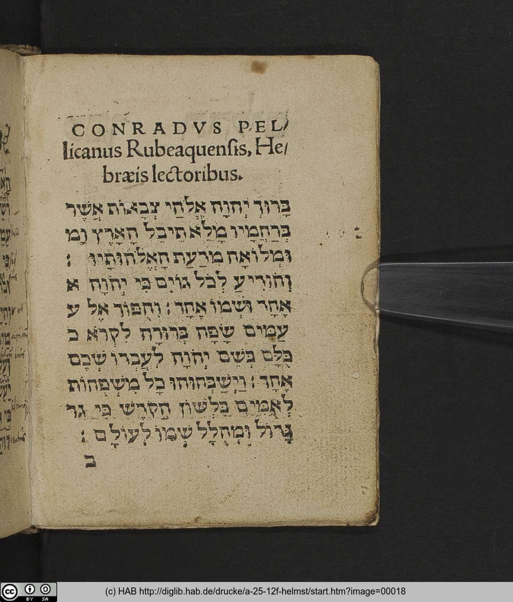 http://diglib.hab.de/drucke/a-25-12f-helmst/00018.jpg