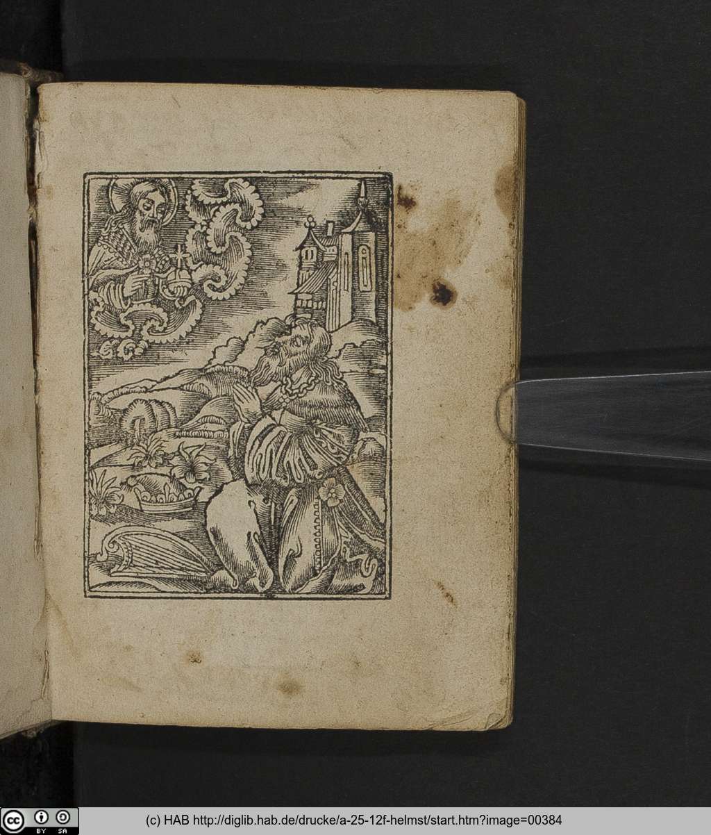 http://diglib.hab.de/drucke/a-25-12f-helmst/00384.jpg