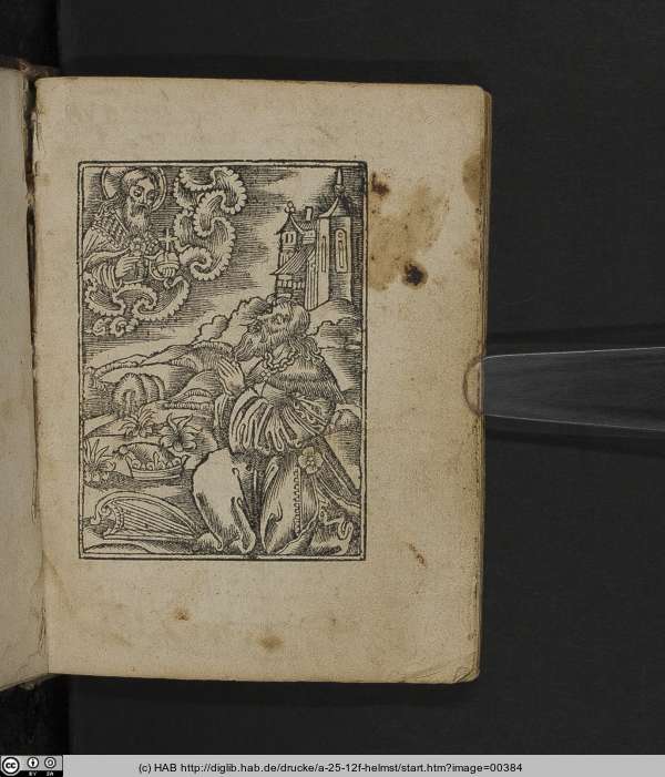 http://diglib.hab.de/drucke/a-25-12f-helmst/min/00384.jpg